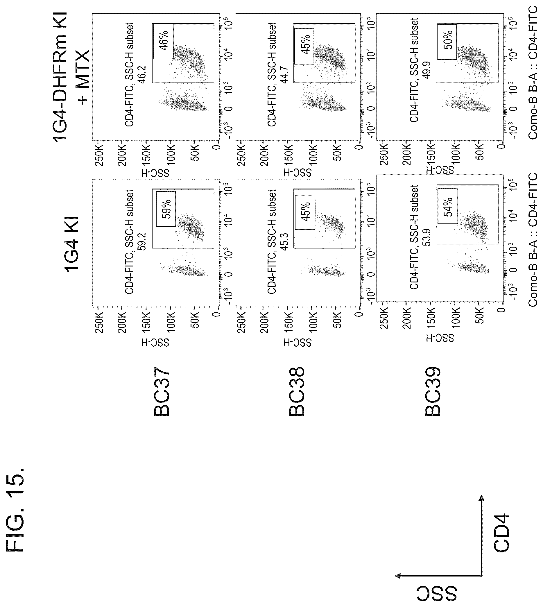 Patent US12492386 Figure 15 – Methods to enrich genetically engineered T cells