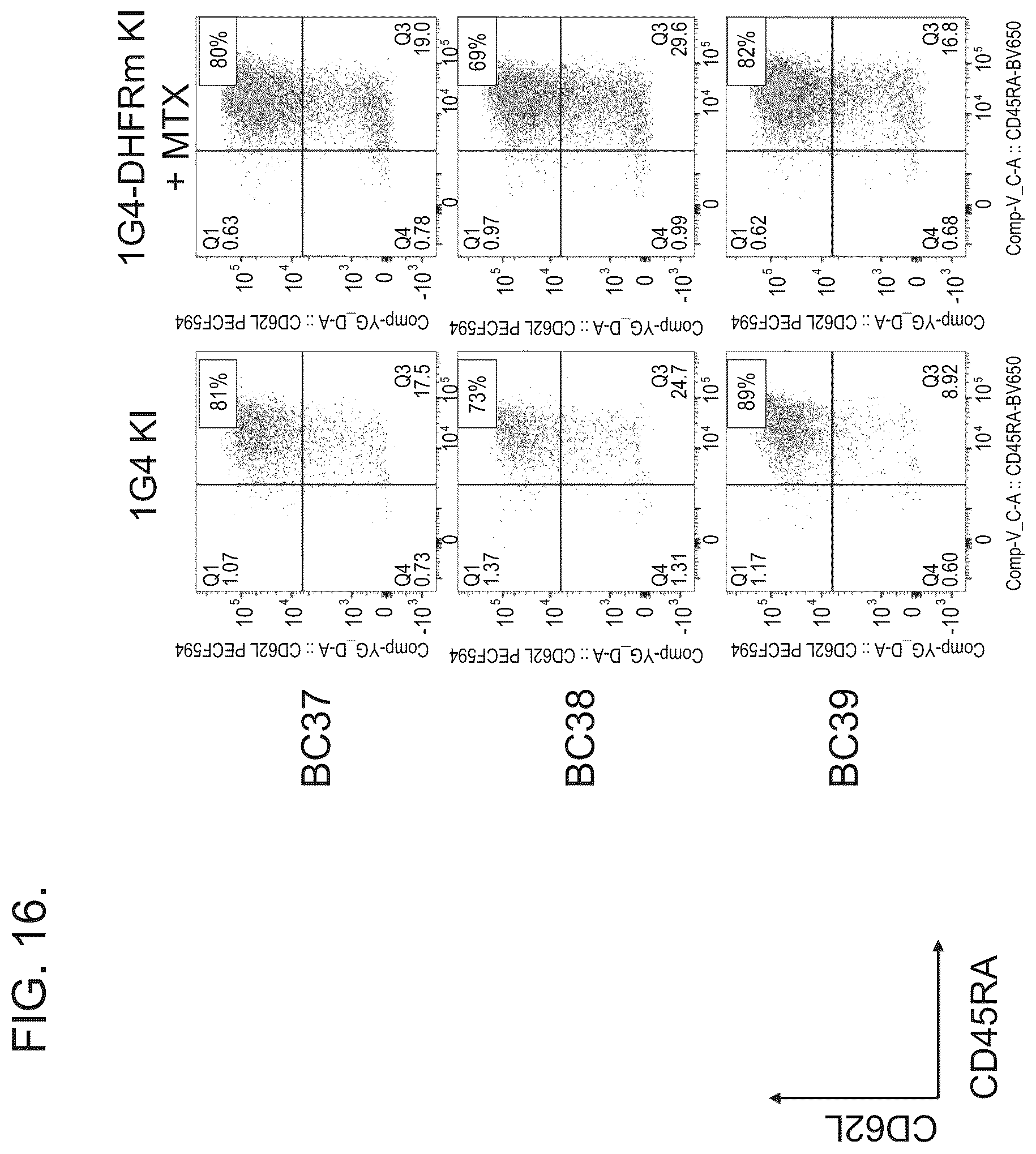 Patent US12492386 Figure 16 – Methods to enrich genetically engineered T cells