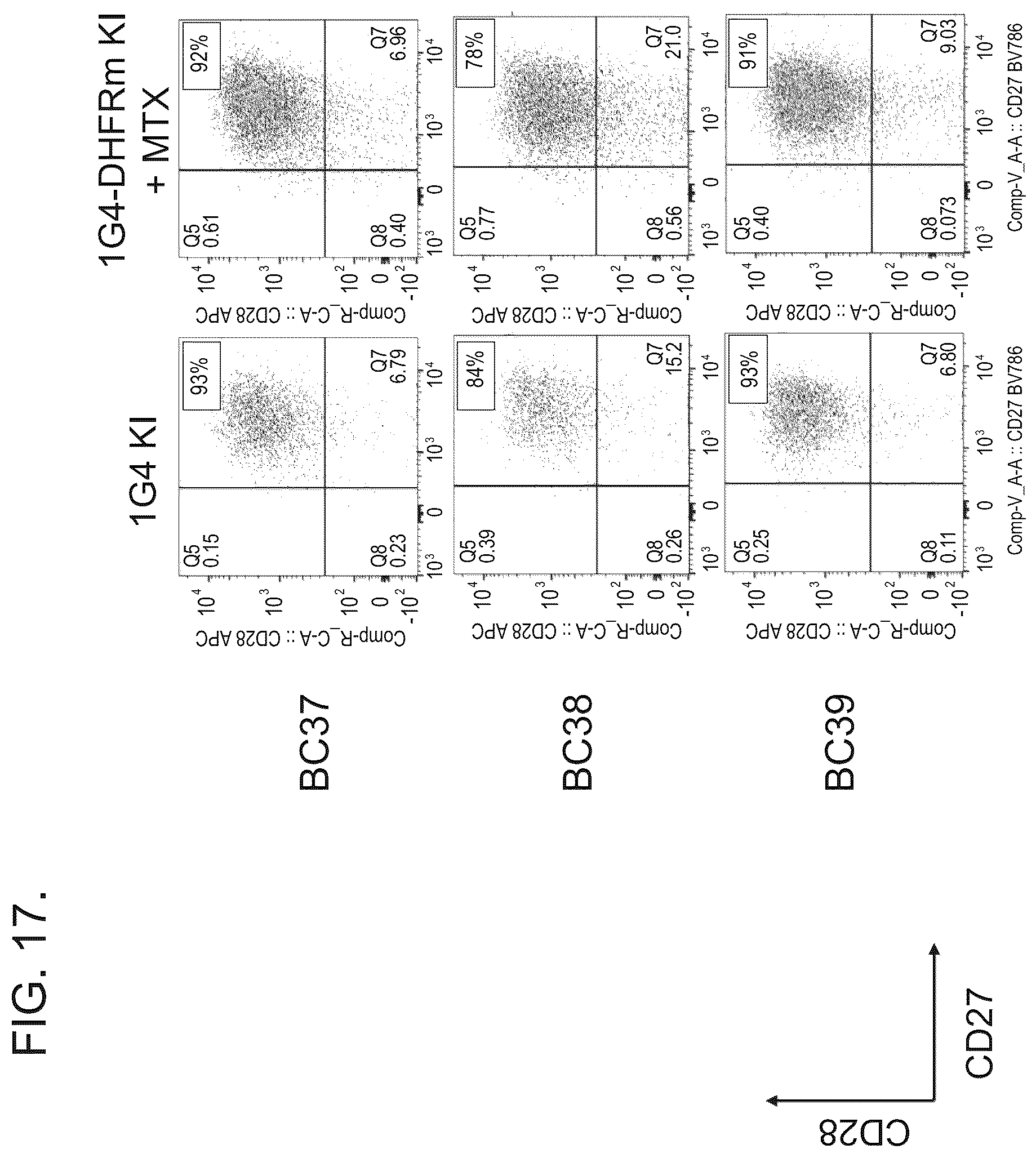 Patent US12492386 Figure 17 – Methods to enrich genetically engineered T cells