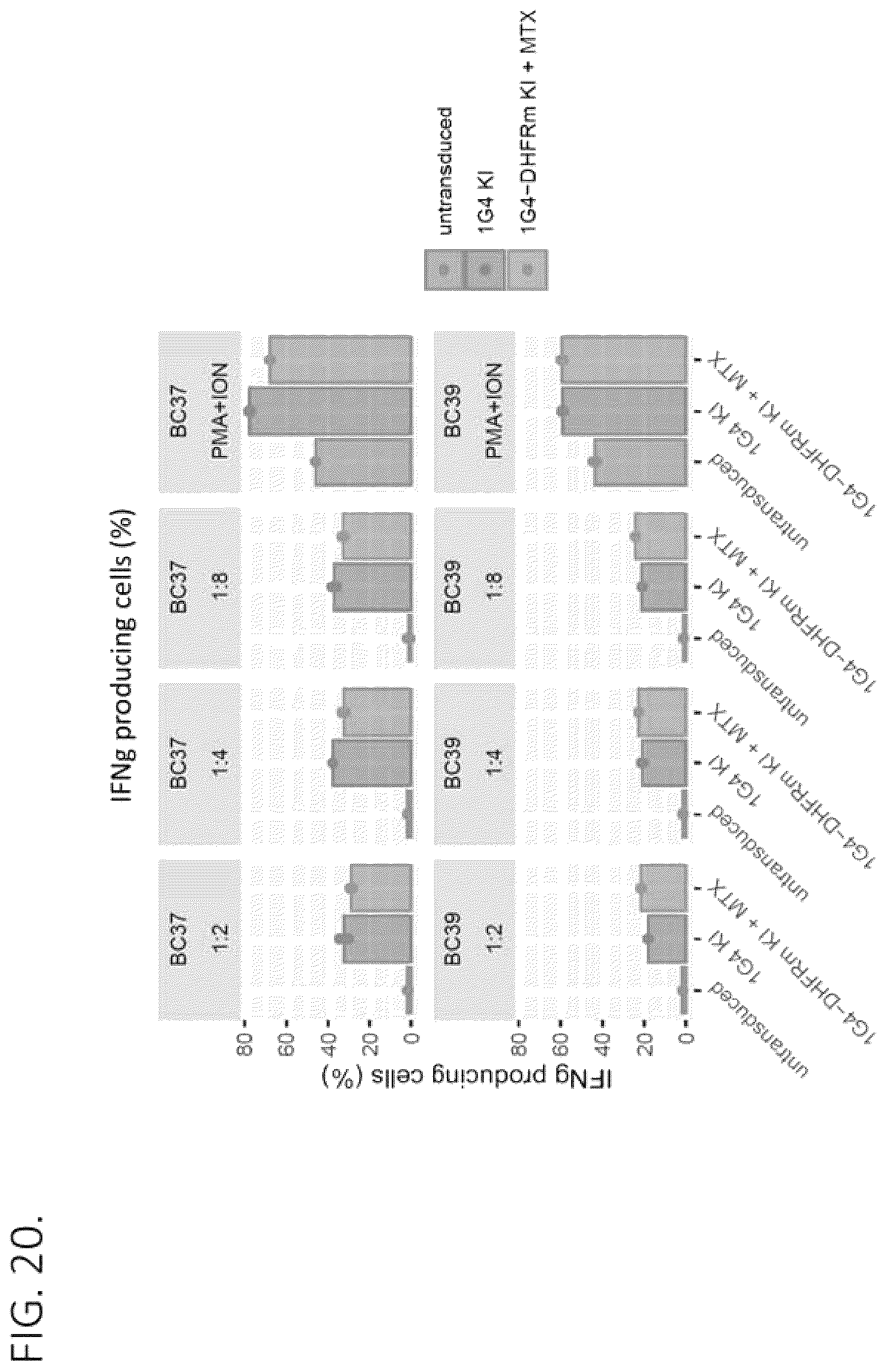 Patent US12492386 Figure 20 – Methods to enrich genetically engineered T cells
