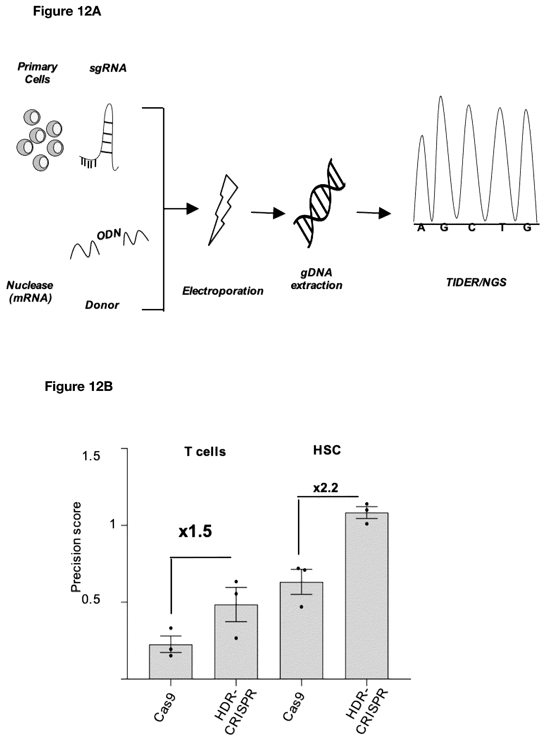 Patent US12492389 Figure 13 – Modified Cas9 system having a dominant negative effector on non-homologous end-joining fused thereto and its use for improved gene editing