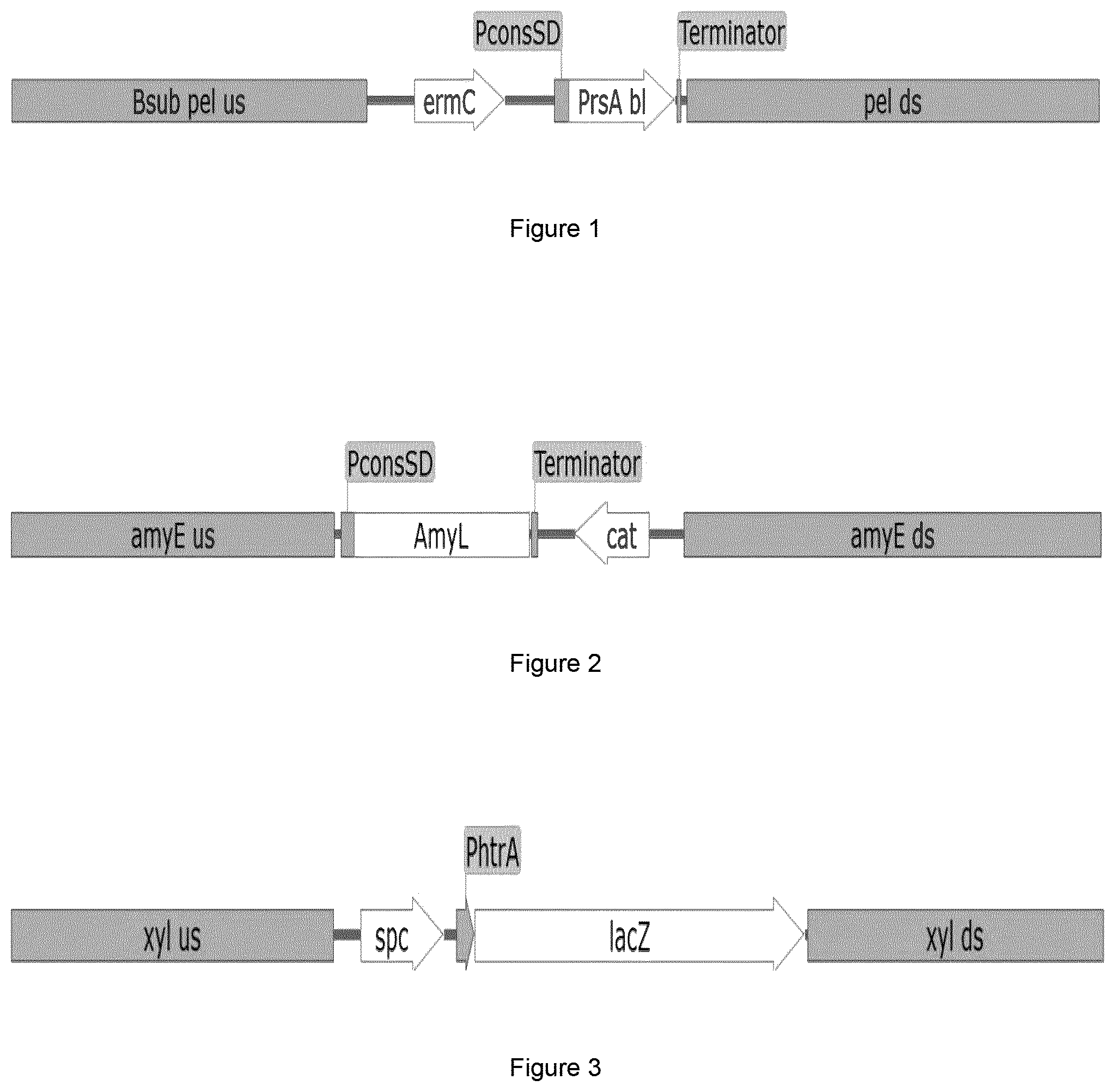 Patent US12492391 Figure 1 – Cognate foldase co-expression