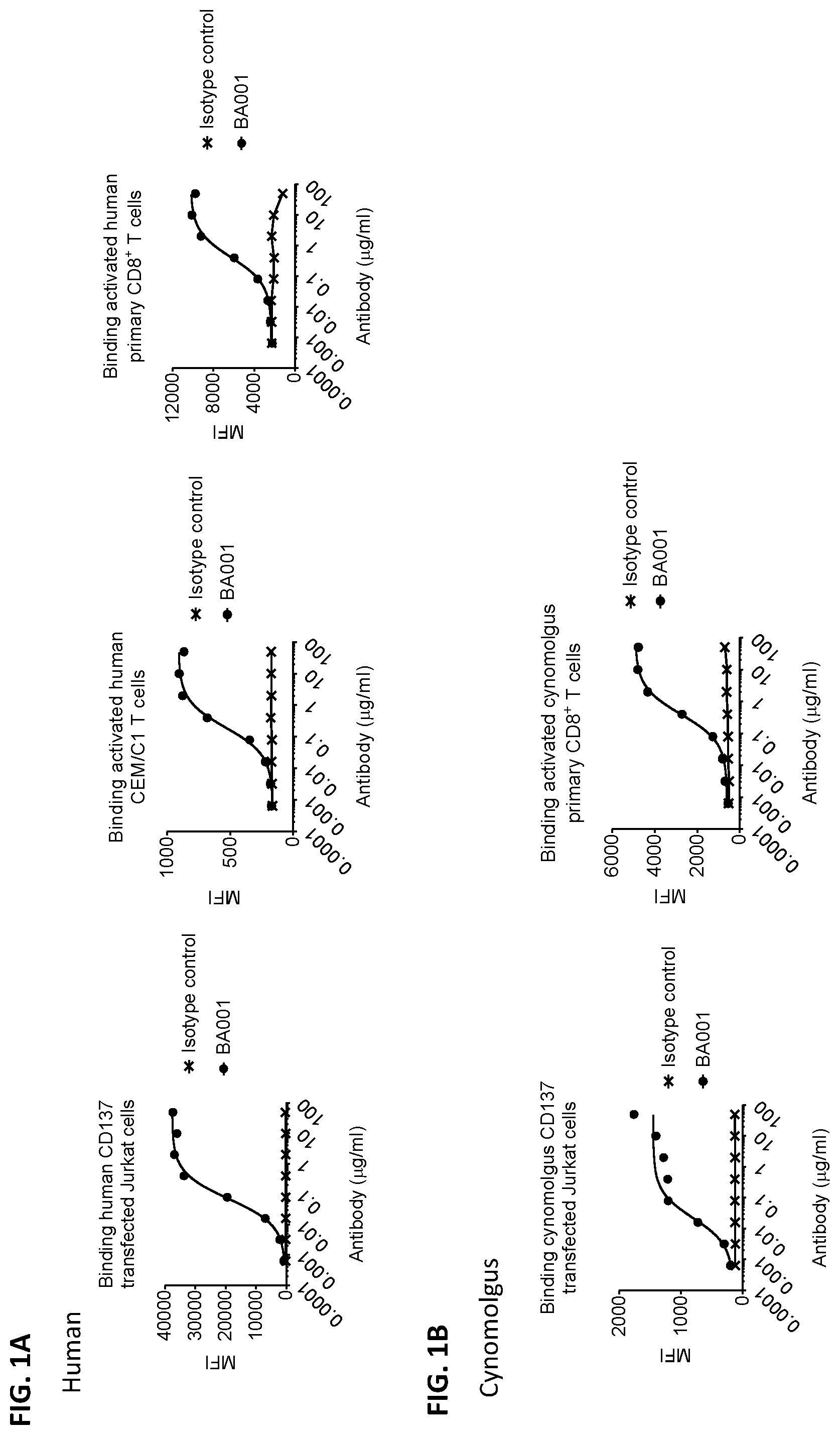 Patent US12492393 Figure 1 – Anti-CD137 antibodies and methods of use thereof