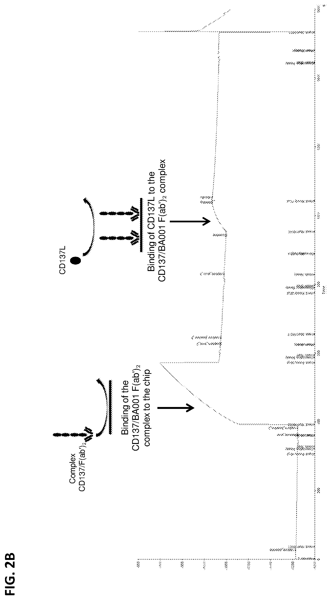 Patent US12492393 Figure 3 – Anti-CD137 antibodies and methods of use thereof