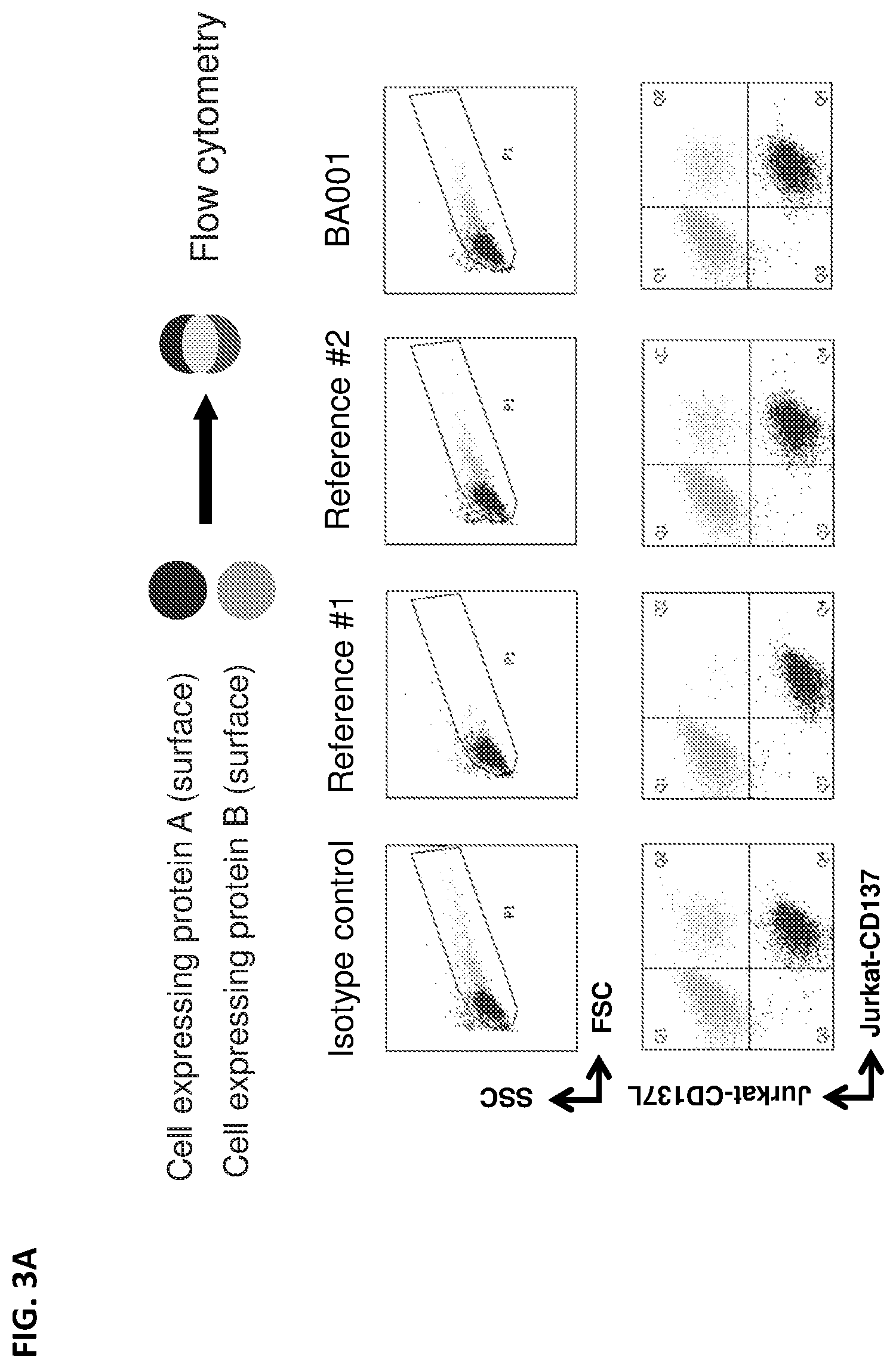 Patent US12492393 Figure 4 – Anti-CD137 antibodies and methods of use thereof