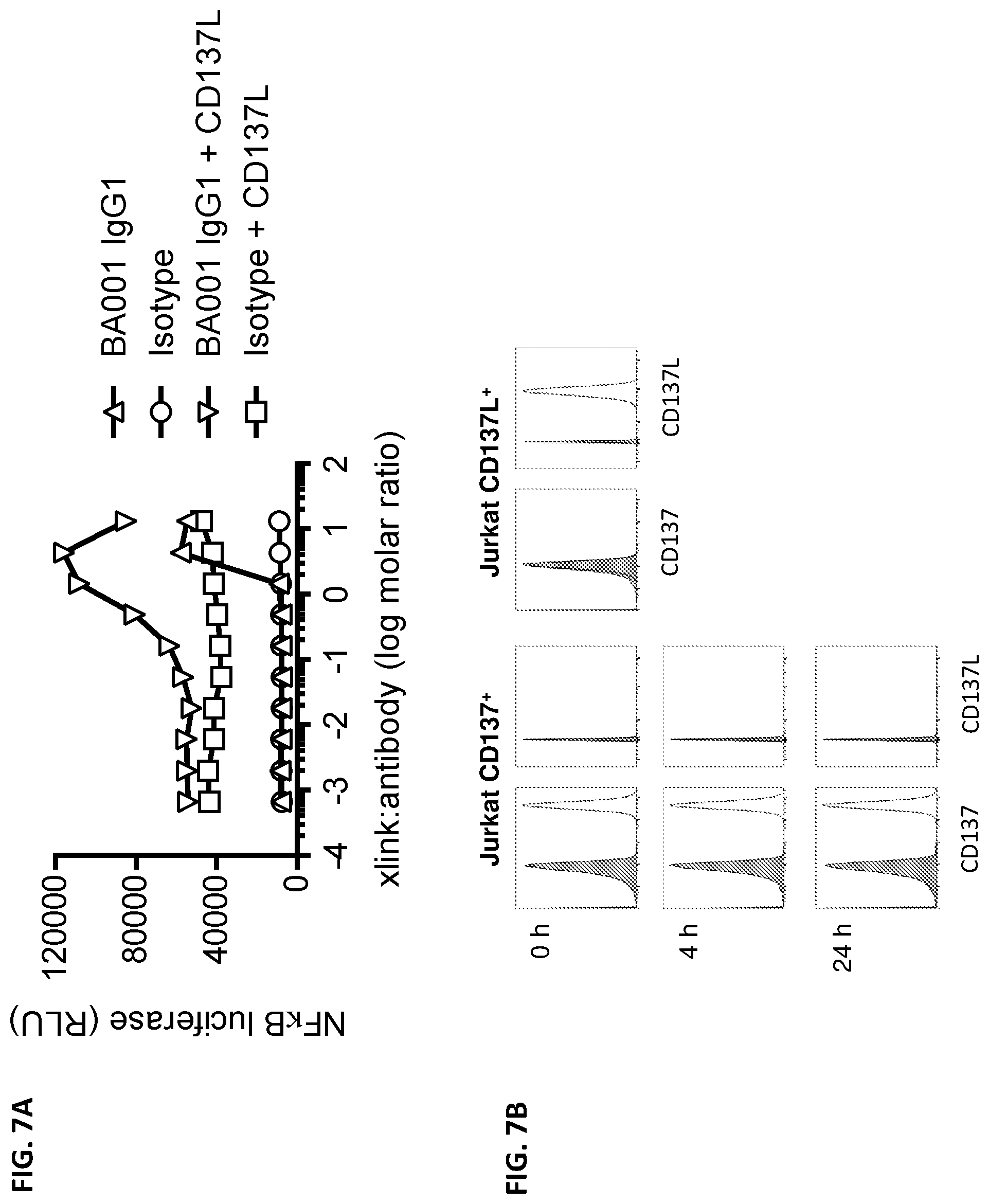 Patent US12492393 Figure 9 – Anti-CD137 antibodies and methods of use thereof
