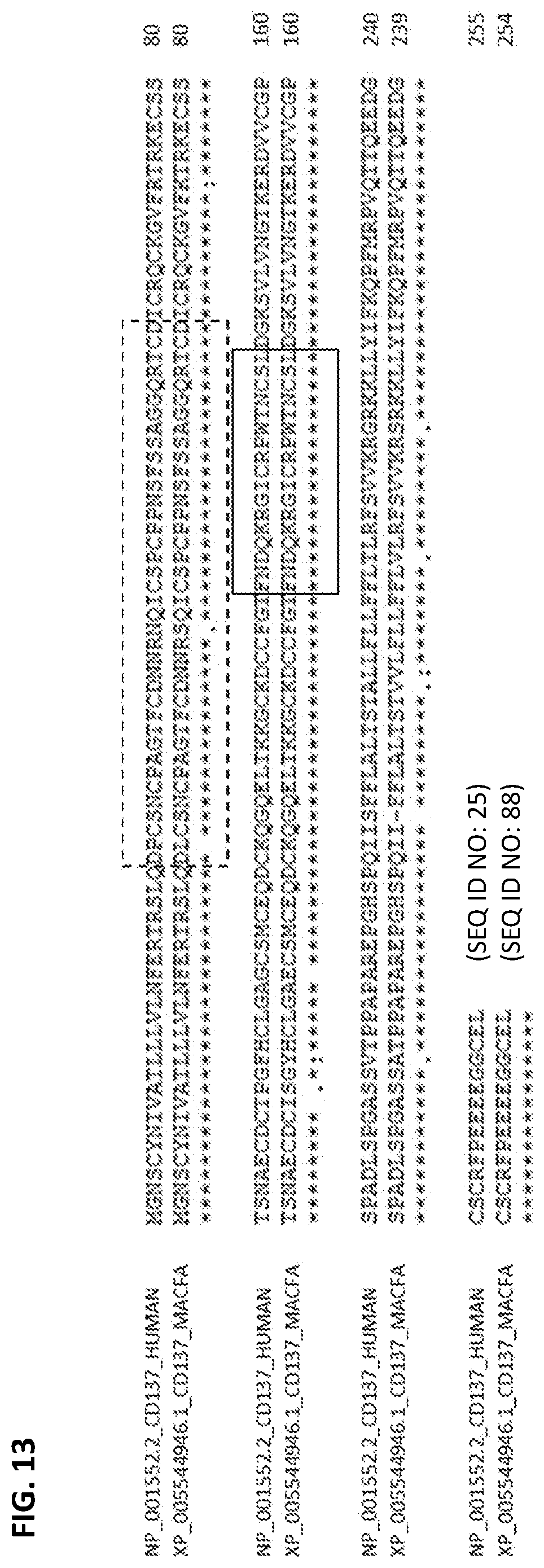Patent US12492393 Figure 16 – Anti-CD137 antibodies and methods of use thereof