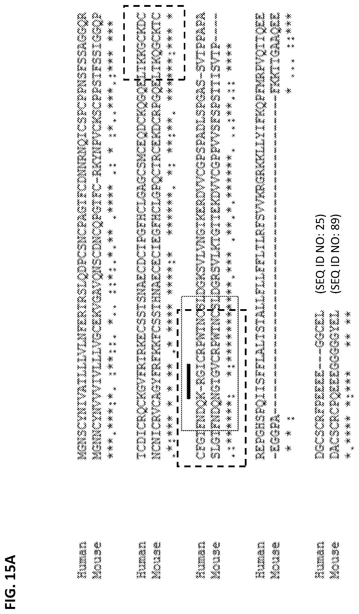 Patent US12492393 Figure 19 – Anti-CD137 antibodies and methods of use thereof