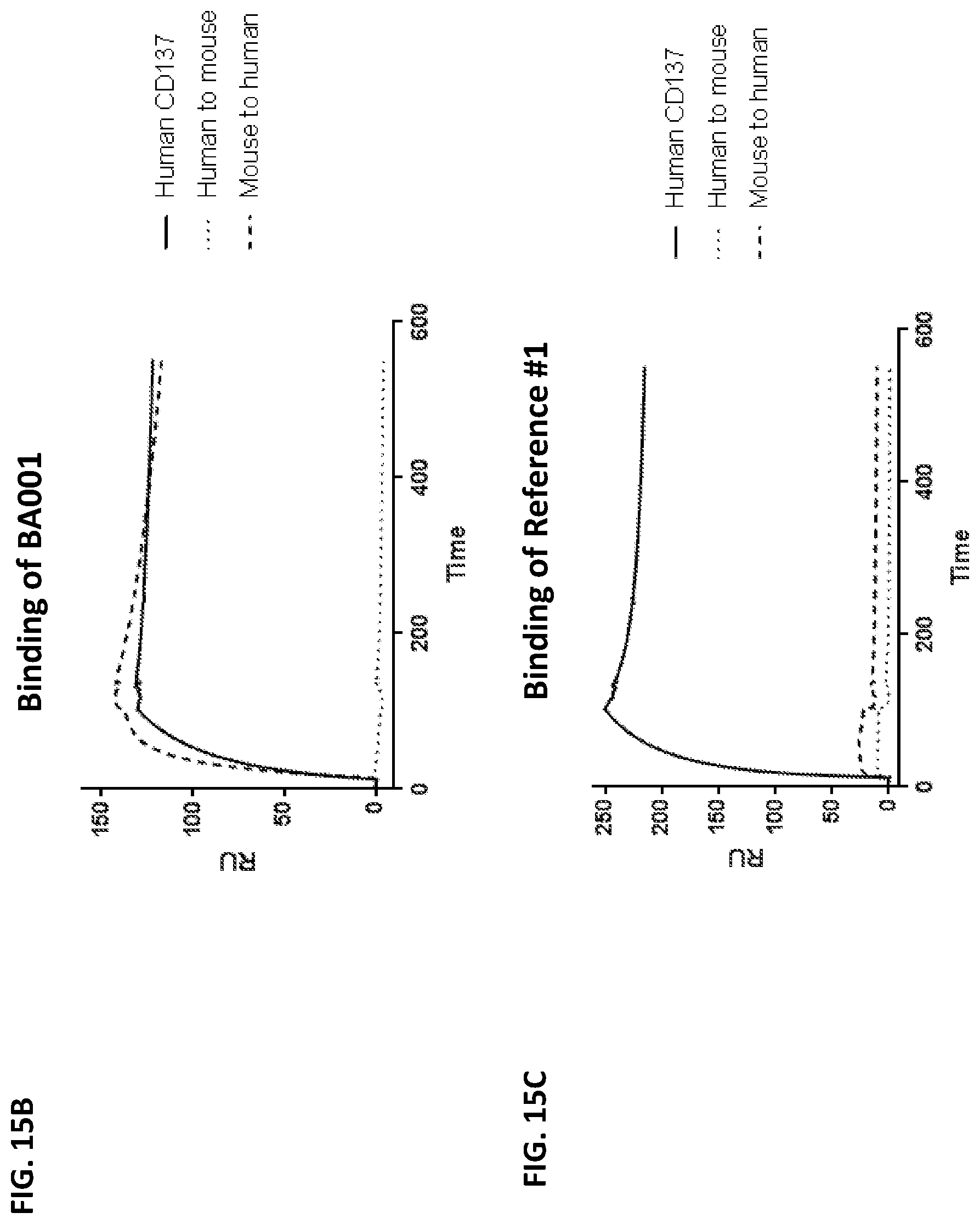 Patent US12492393 Figure 20 – Anti-CD137 antibodies and methods of use thereof