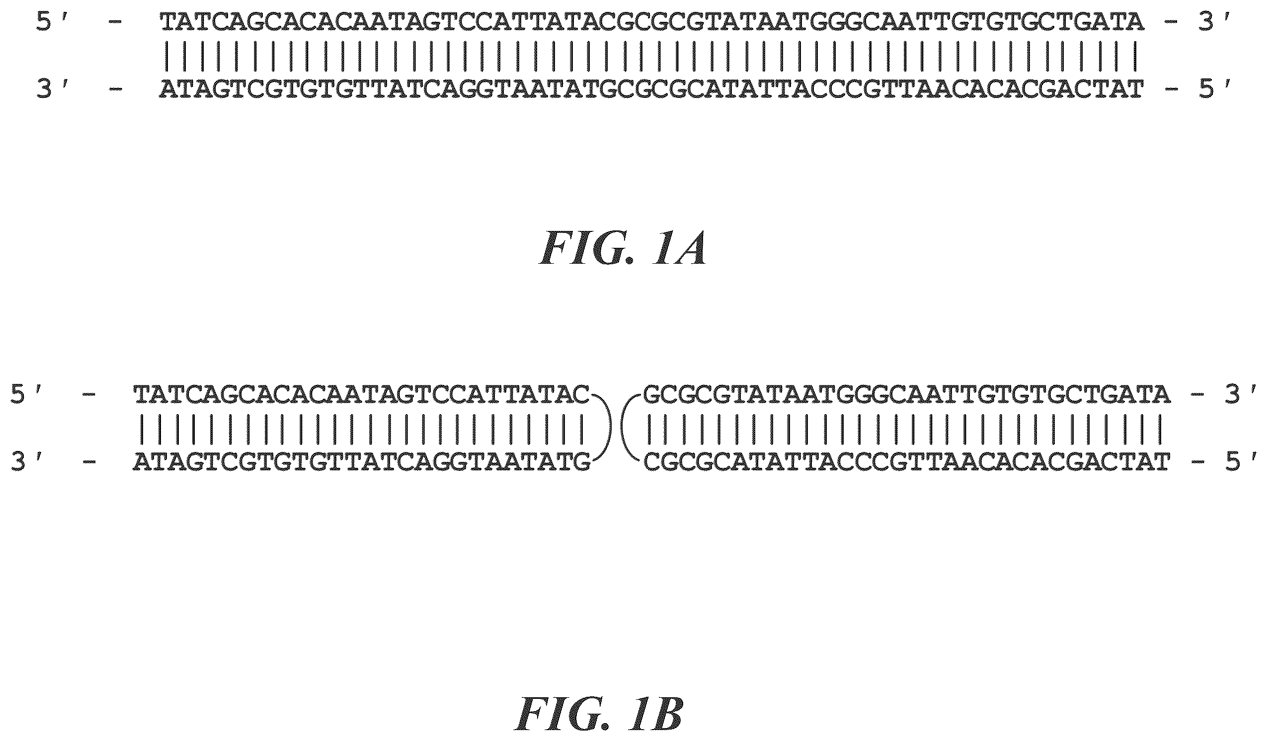 Patent US12492396 — Methods for generating circular nucleic acid molecules — Figure 1