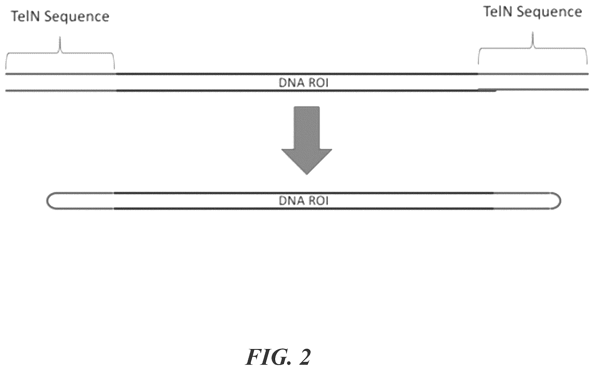 Patent US12492396 Figure 2 – Methods for generating circular nucleic acid molecules