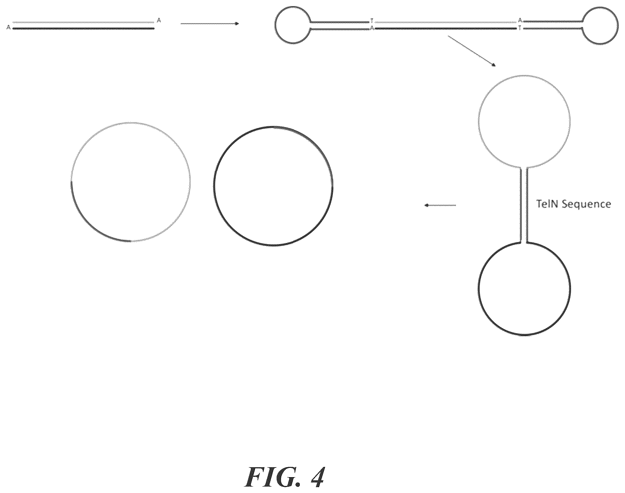 Patent US12492396 Figure 4 – Methods for generating circular nucleic acid molecules