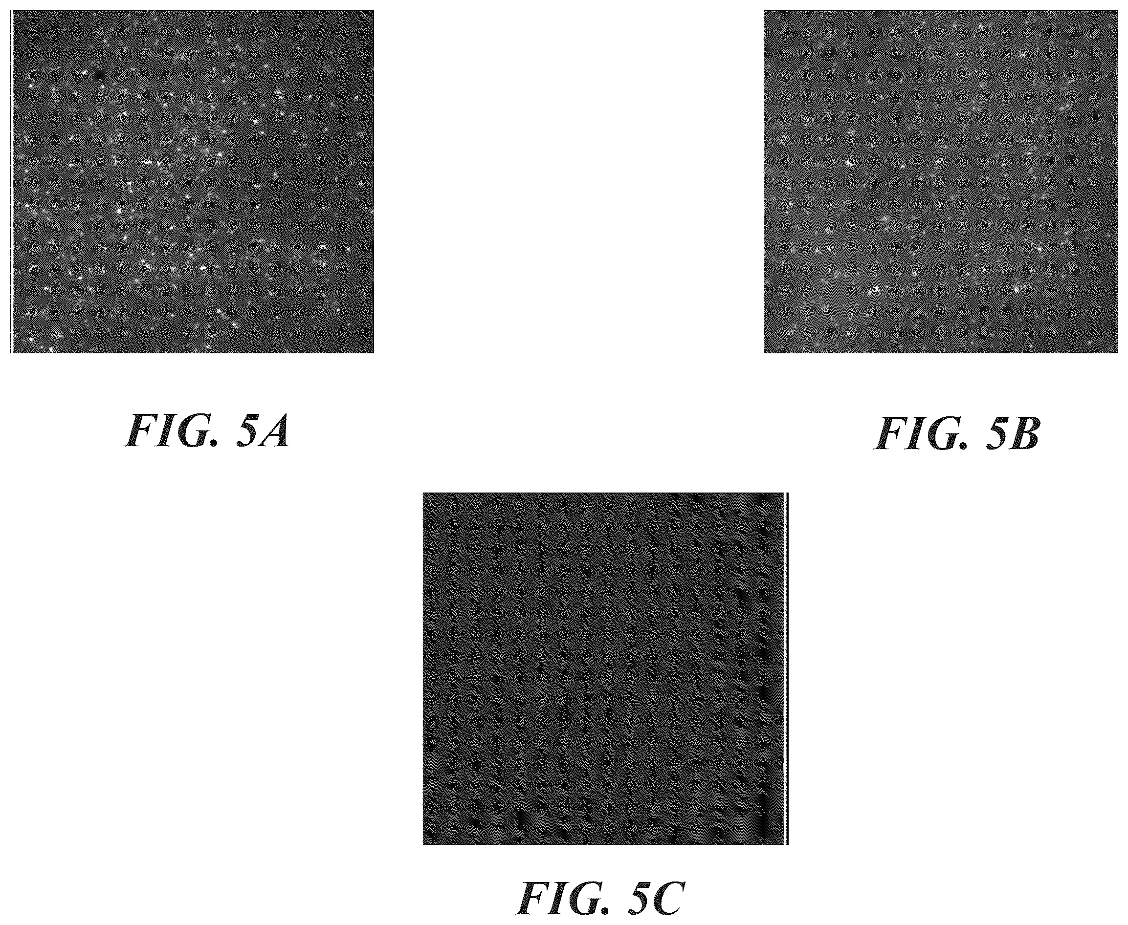 Patent US12492396 Figure 5 – Methods for generating circular nucleic acid molecules