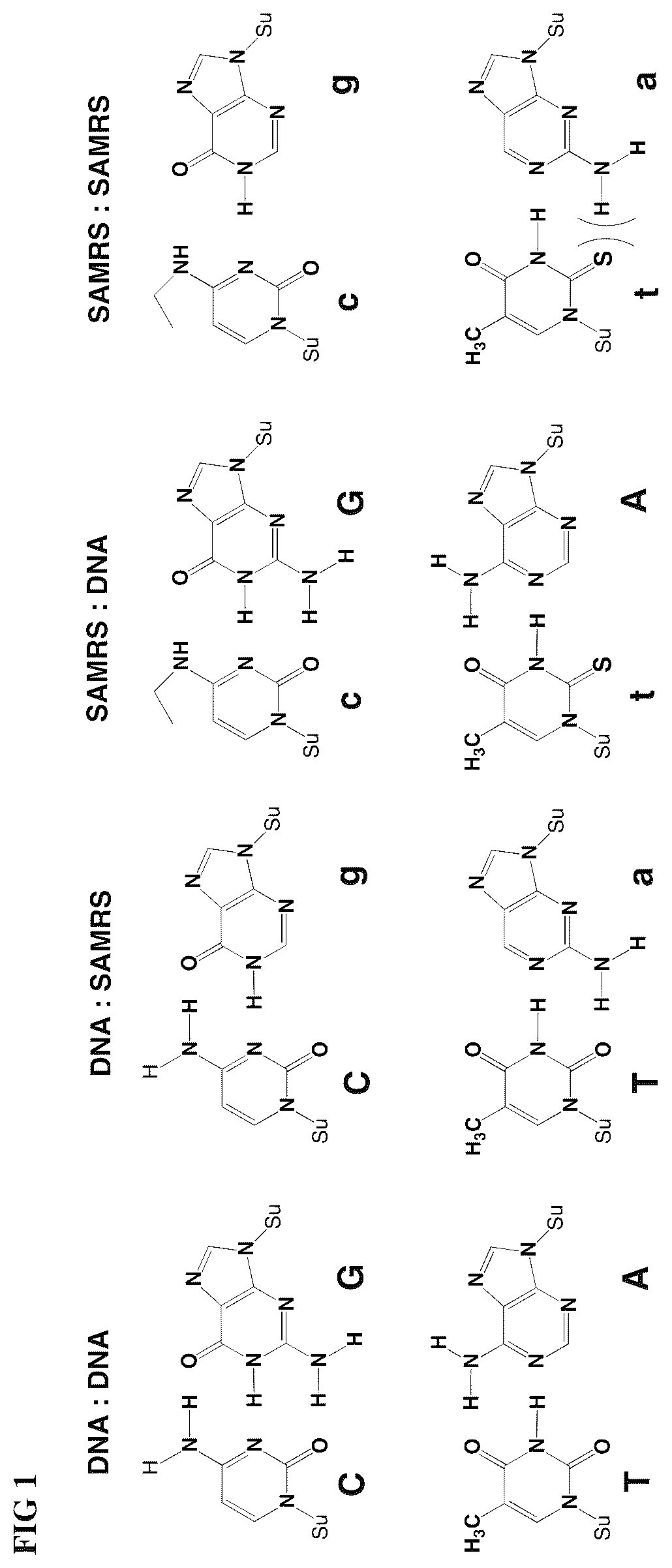Patent US12492398 Figure 1 – Compositions for the multiplexed detection of viruses