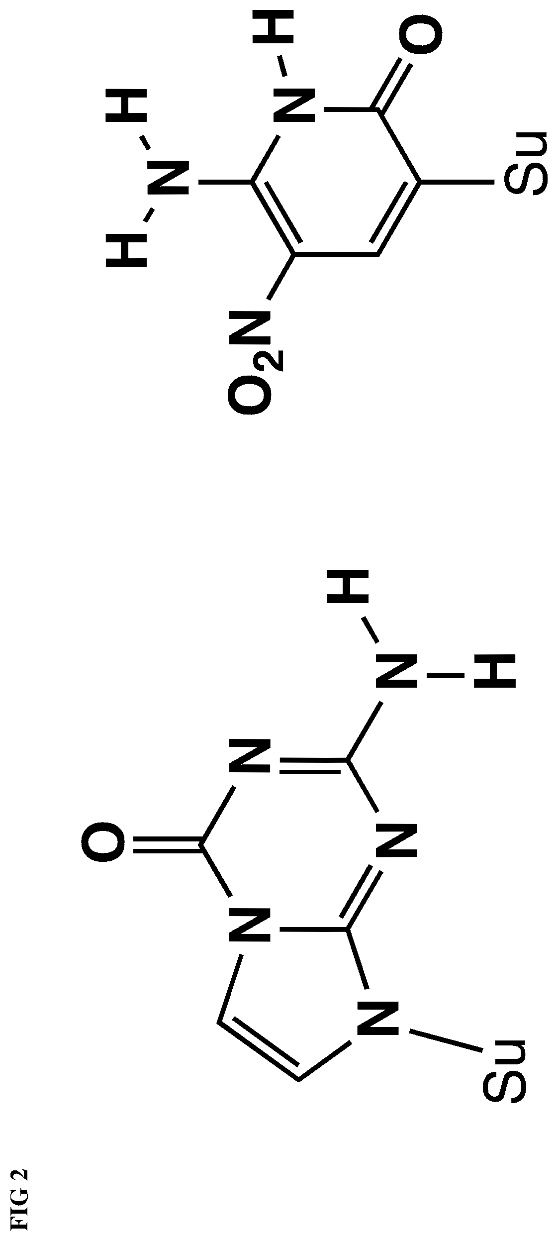 Patent US12492398 Figure 2 – Compositions for the multiplexed detection of viruses