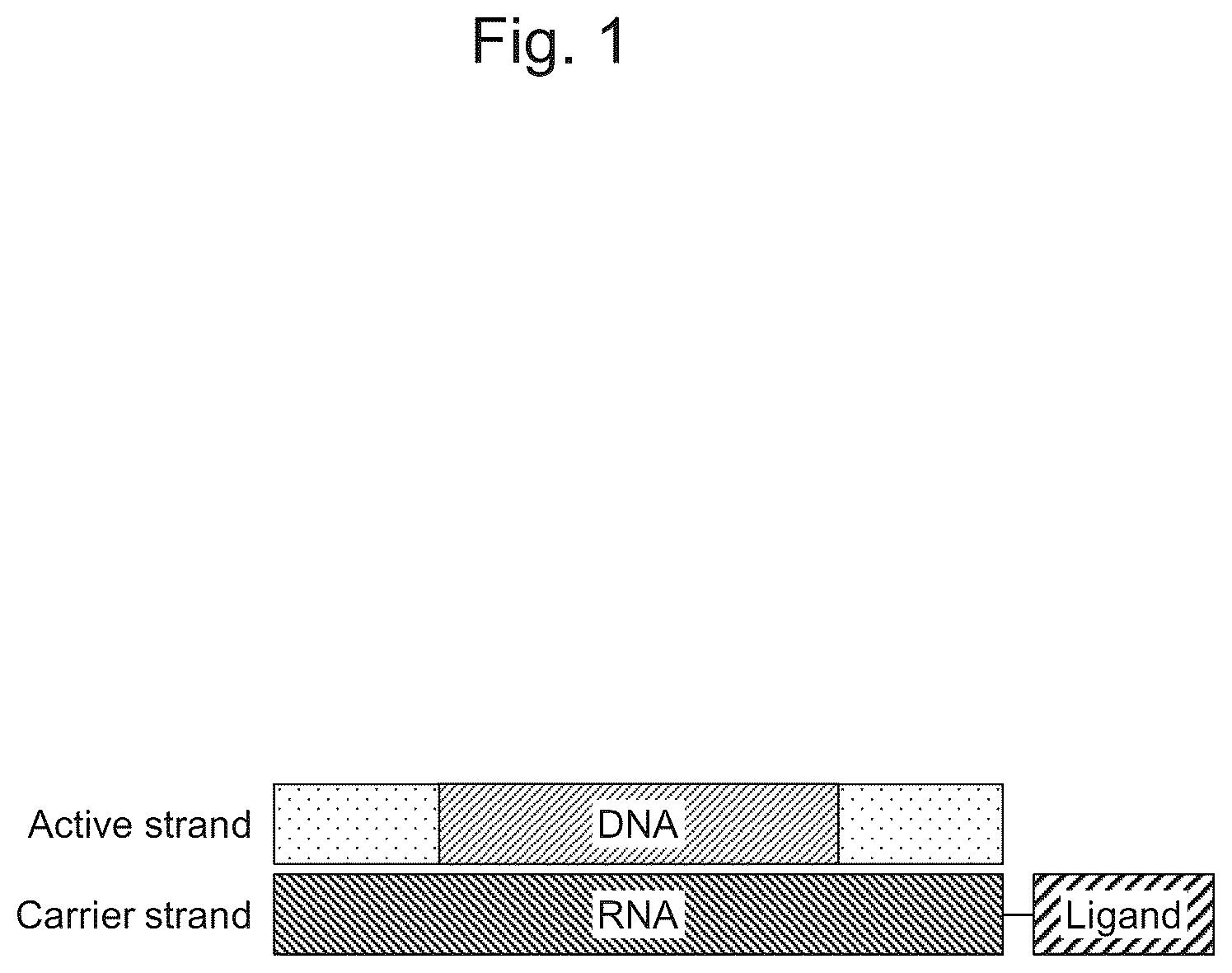 Patent US12492399 Figure 1 – Nucleic acid complex for regulating IHH expression