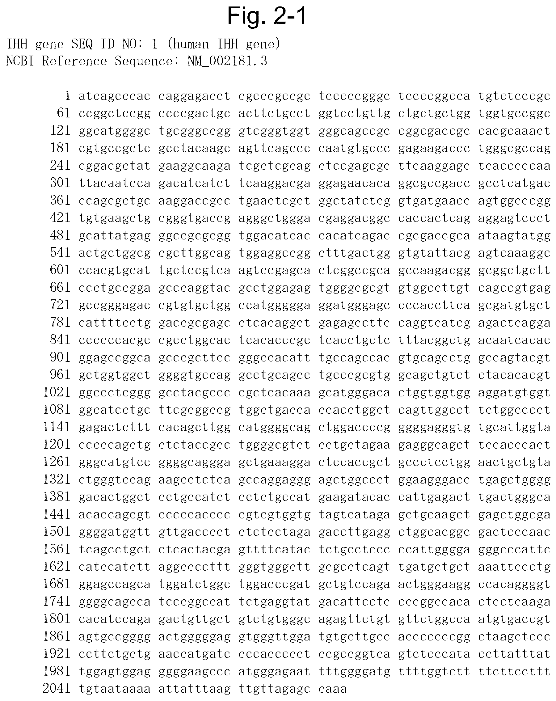 Patent US12492399 Figure 2 – Nucleic acid complex for regulating IHH expression