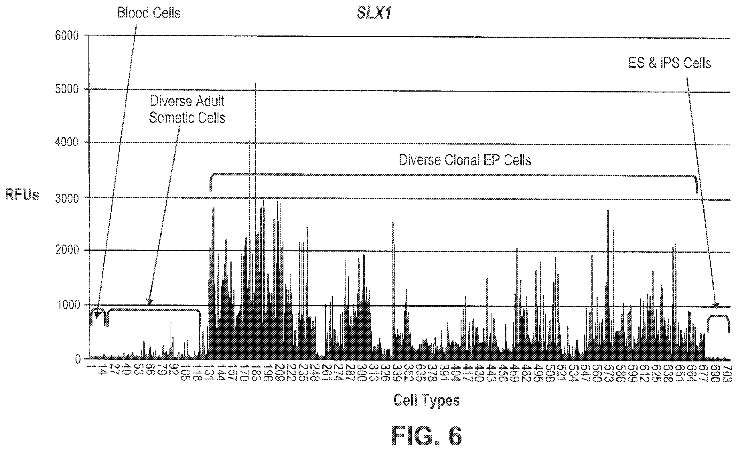 Patent US12492400 Figure 6 – Compositions and methods for induced tissue regeneration in mammalian species
