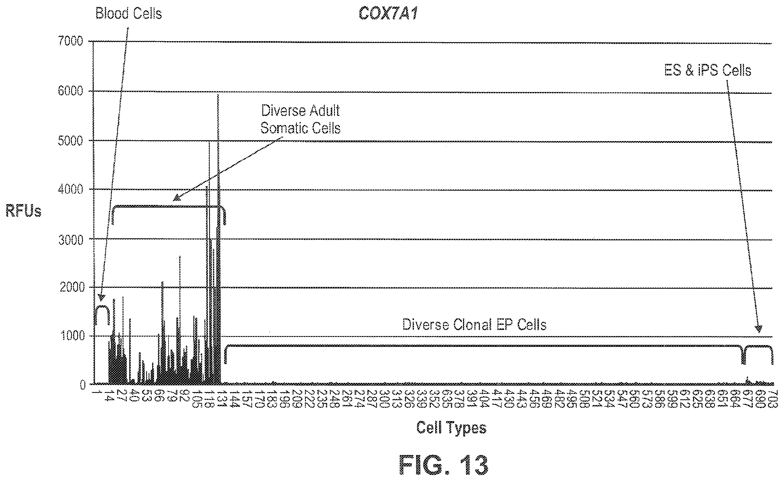 Patent US12492400 Figure 13 – Compositions and methods for induced tissue regeneration in mammalian species