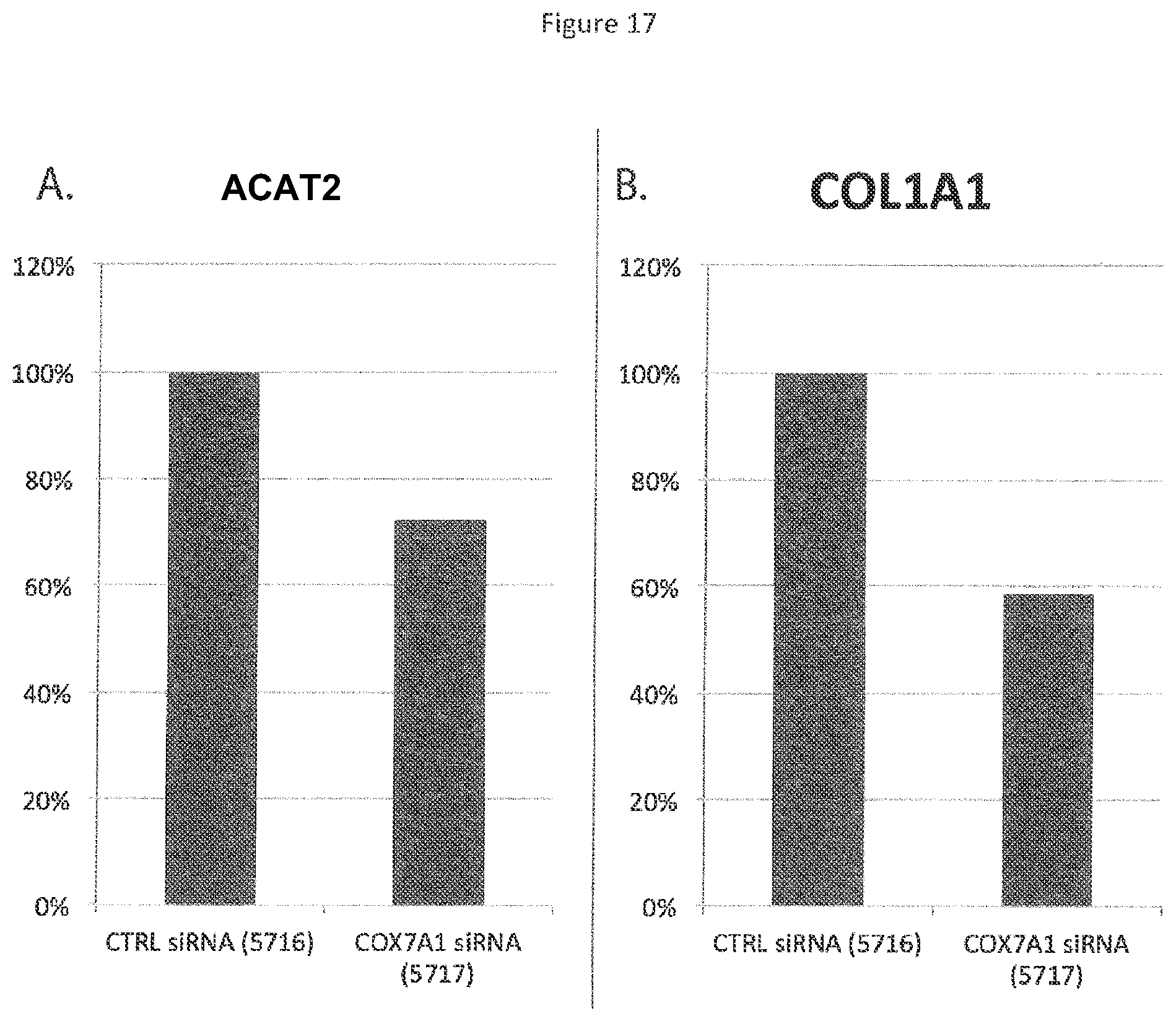 Patent US12492400 Figure 17 – Compositions and methods for induced tissue regeneration in mammalian species