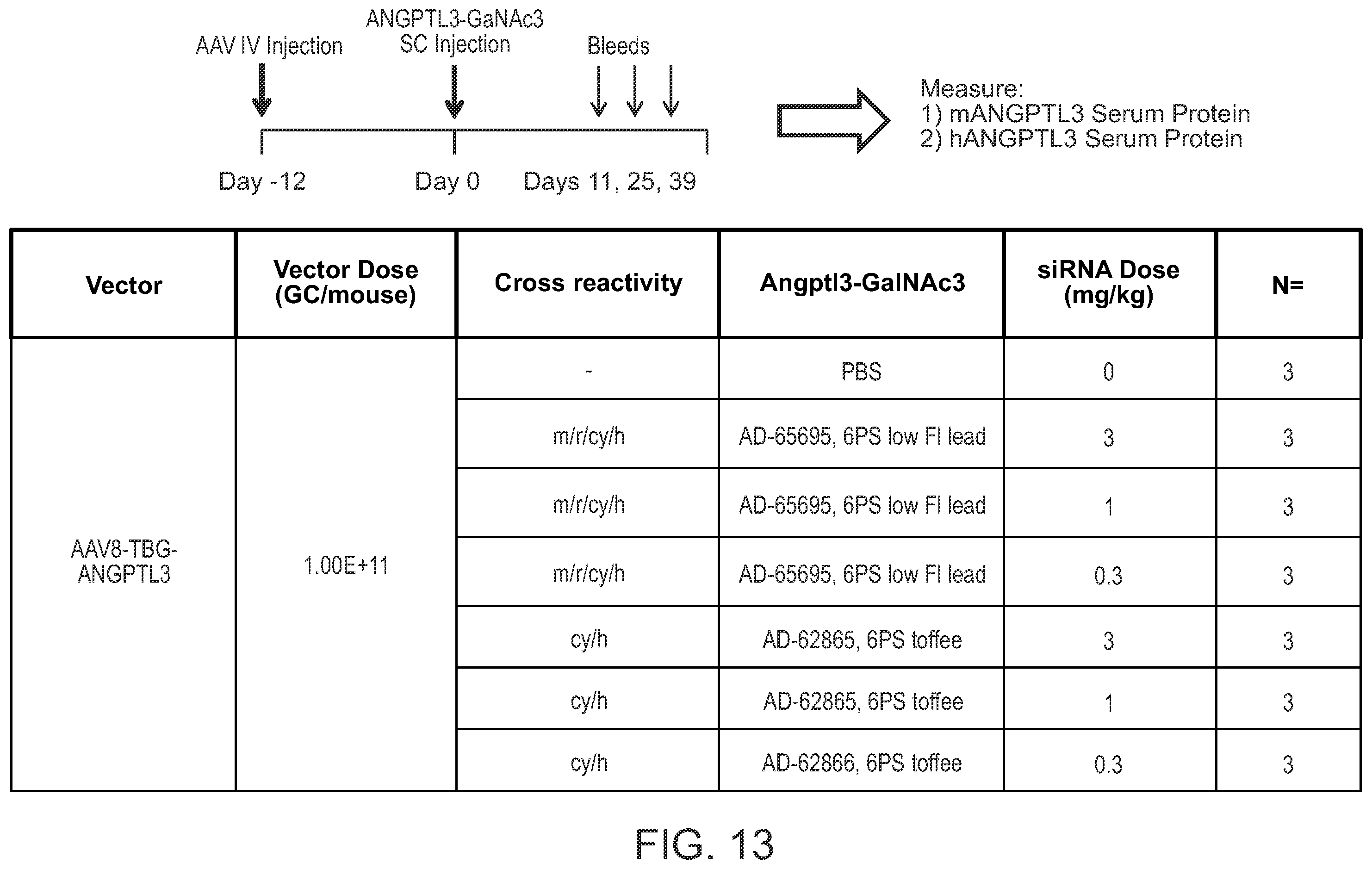 Patent US12492401 Figure 14 – Angiopoietin-like 3 (ANGPTL3) iRNA compositions and methods of use thereof