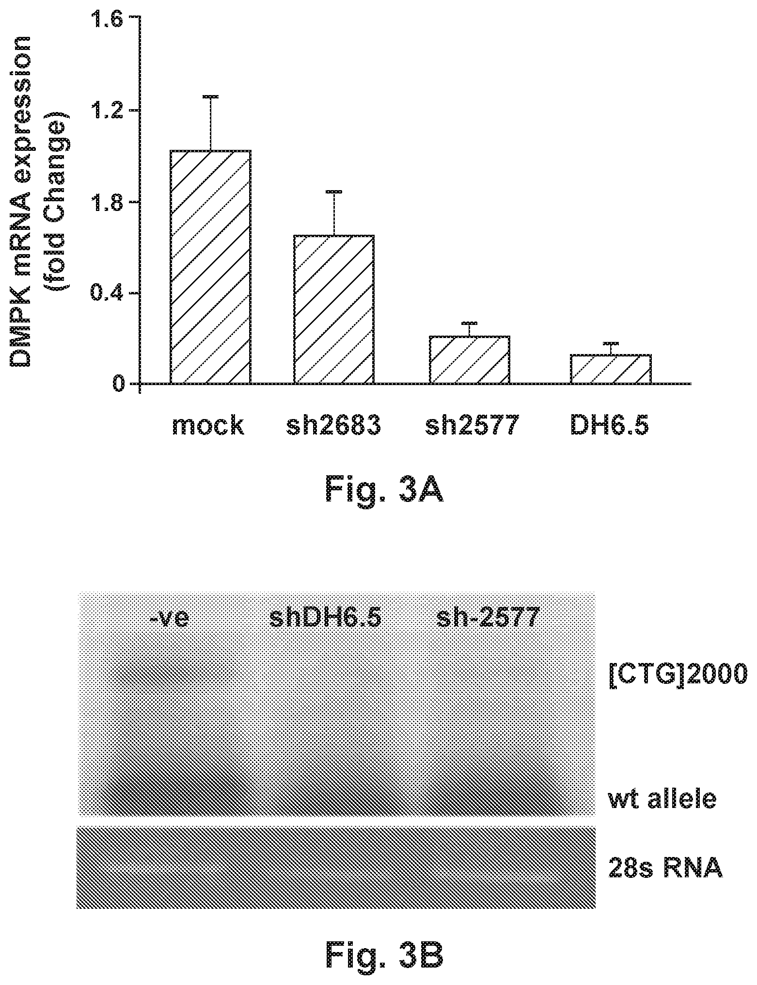 Patent US12492402 Figure 10 – Recombinant virus products and methods for inhibiting expression of dystrophia myotonica protein kinase and/or interfering with a trinucleotide repeat expansion in the 3′ untranslated region of the DMPK gene