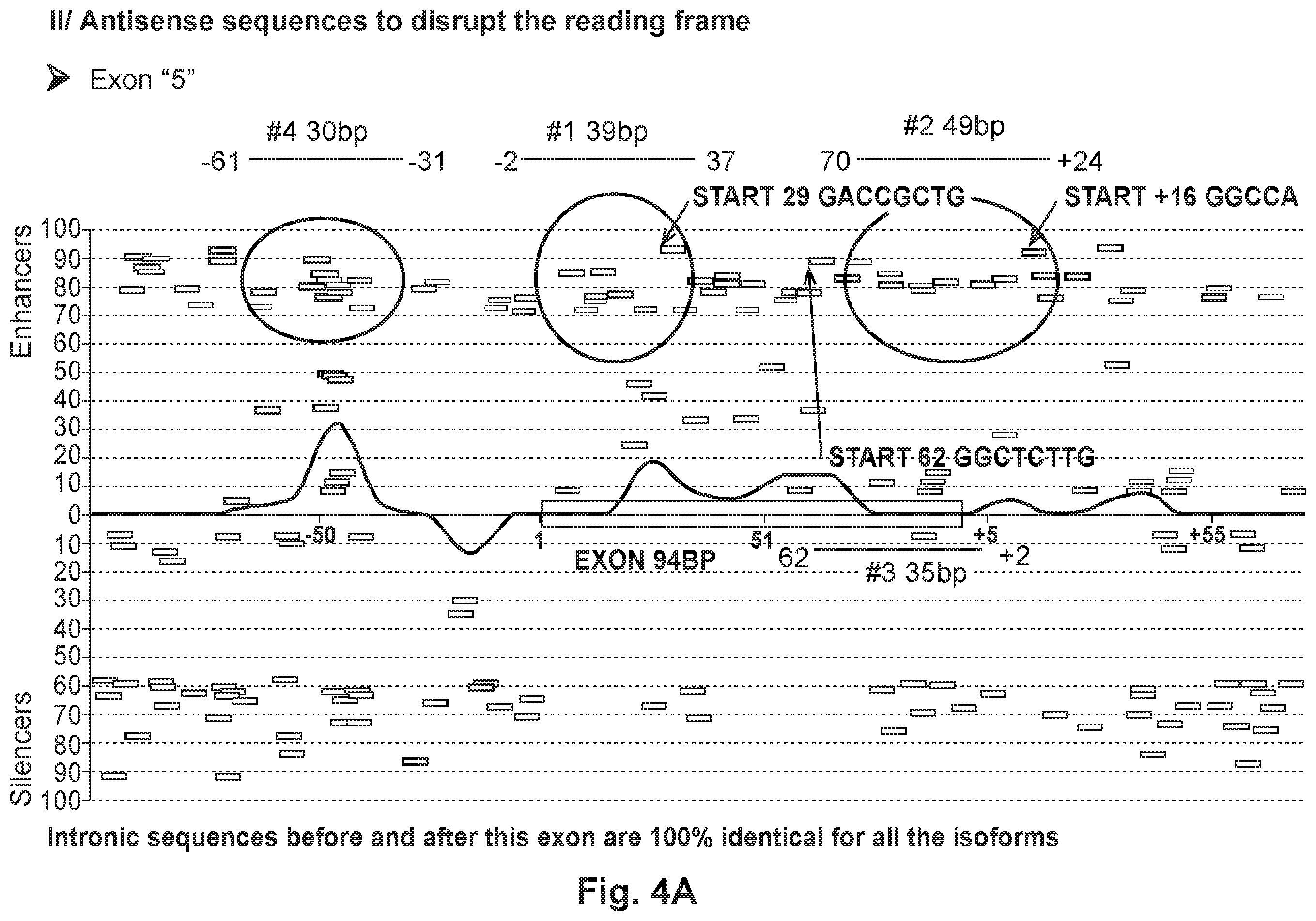 Patent US12492402 Figure 11 – Recombinant virus products and methods for inhibiting expression of dystrophia myotonica protein kinase and/or interfering with a trinucleotide repeat expansion in the 3′ untranslated region of the DMPK gene