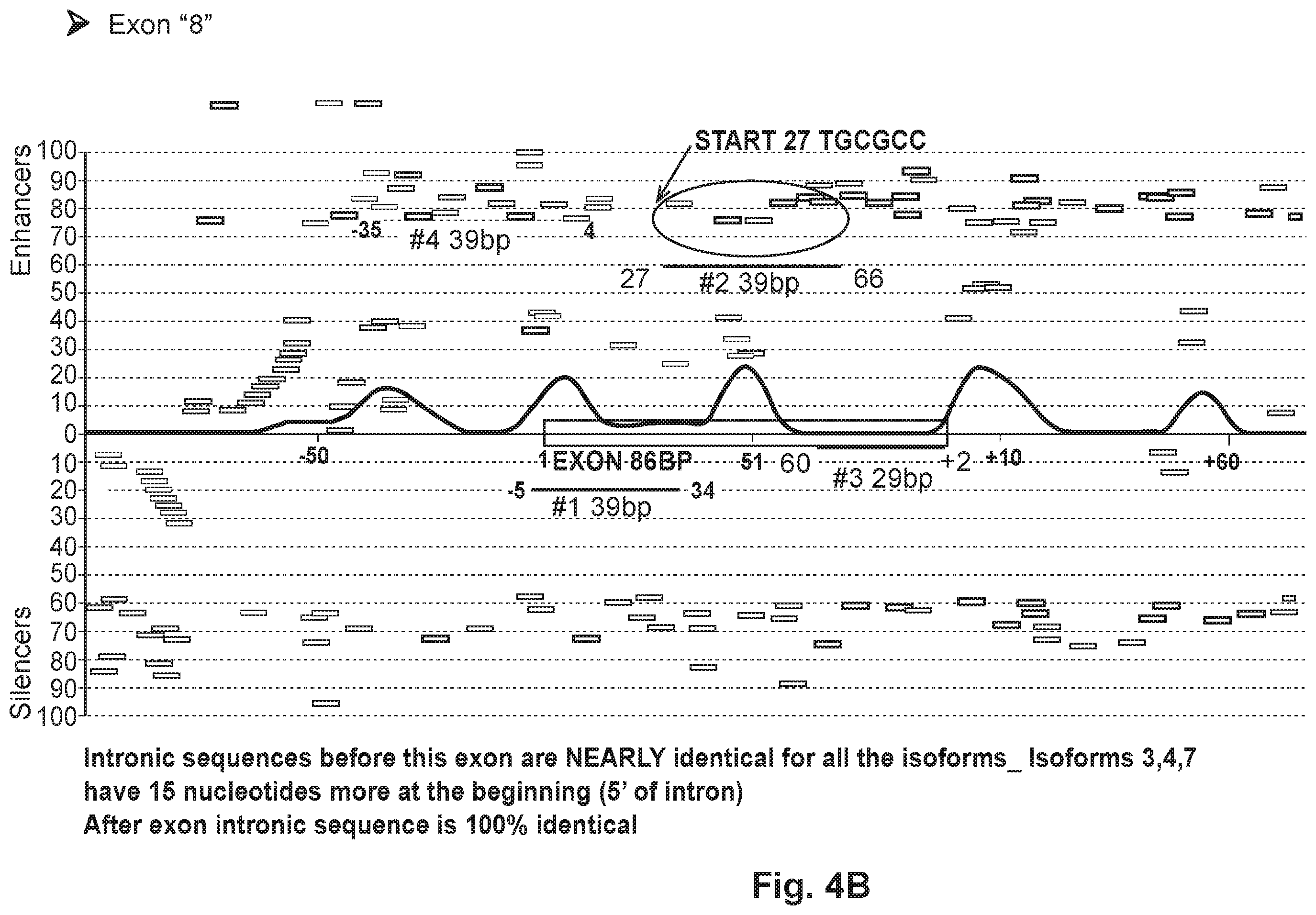 Patent US12492402 Figure 12 – Recombinant virus products and methods for inhibiting expression of dystrophia myotonica protein kinase and/or interfering with a trinucleotide repeat expansion in the 3′ untranslated region of the DMPK gene