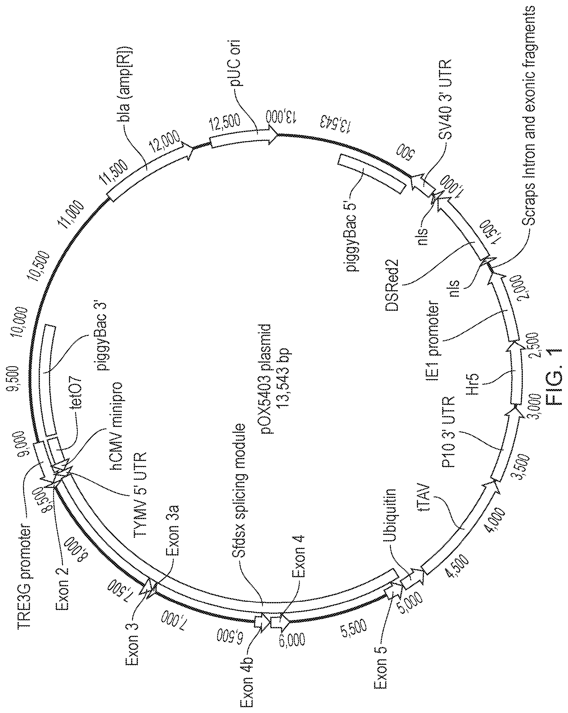 Patent US12492404 Figure 1 – Self-limiting noctuids