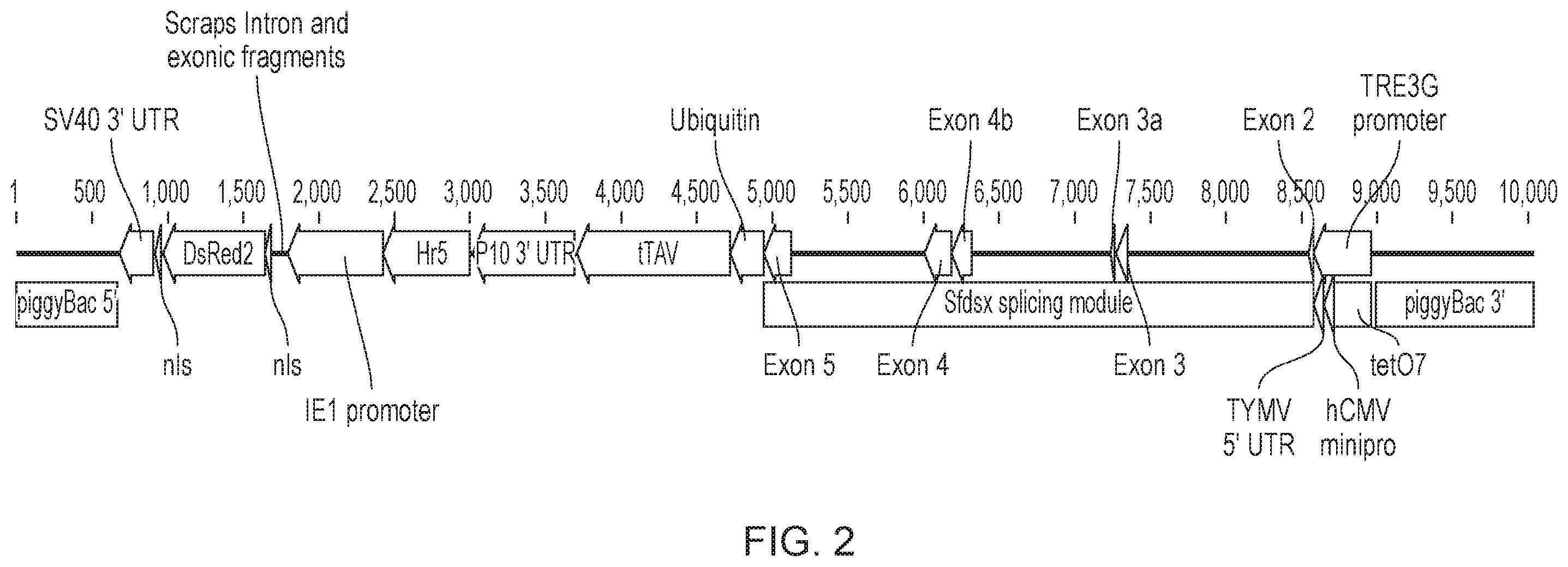 Patent US12492404 Figure 2 – Self-limiting noctuids