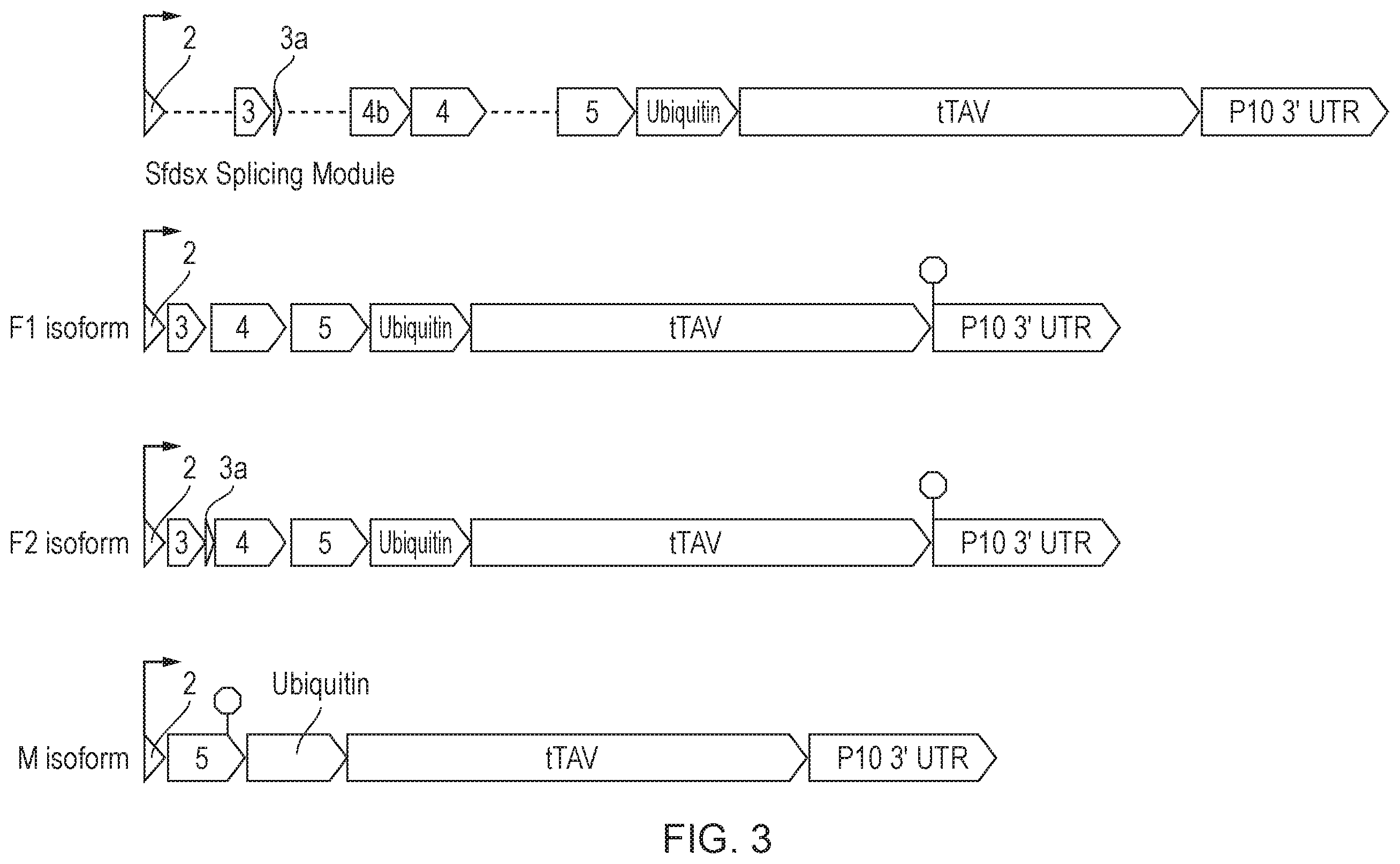 Patent US12492404 Figure 3 – Self-limiting noctuids