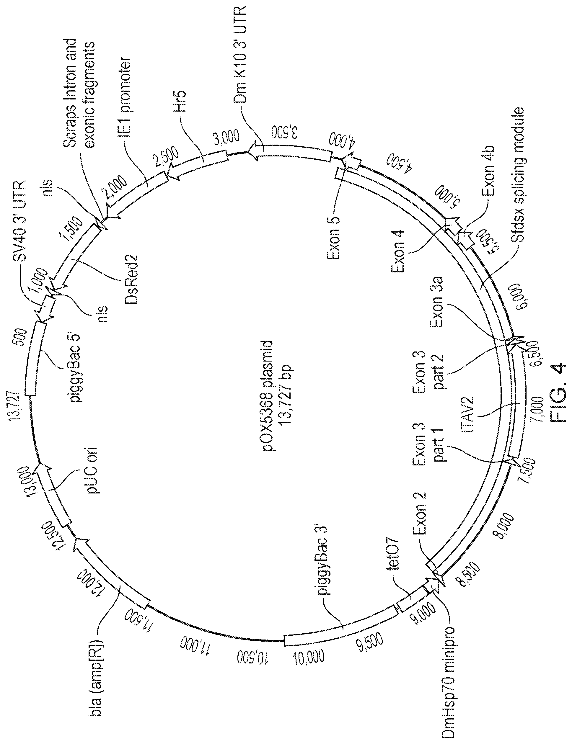 Patent US12492404 Figure 4 – Self-limiting noctuids