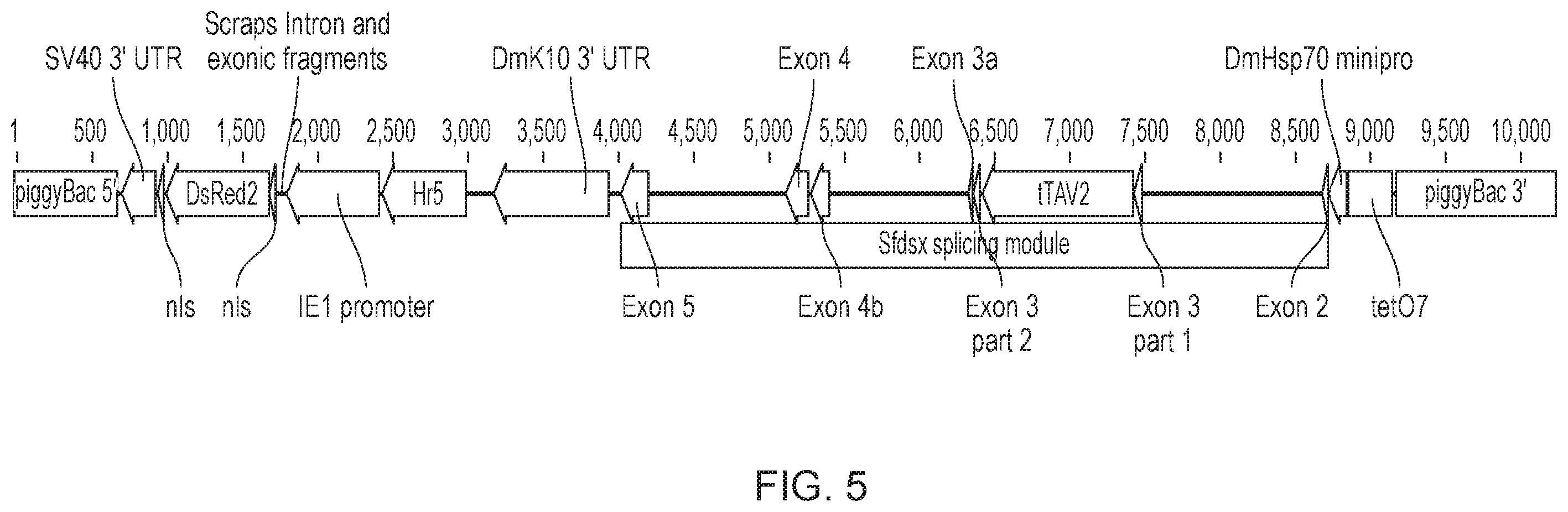 Patent US12492404 Figure 5 – Self-limiting noctuids
