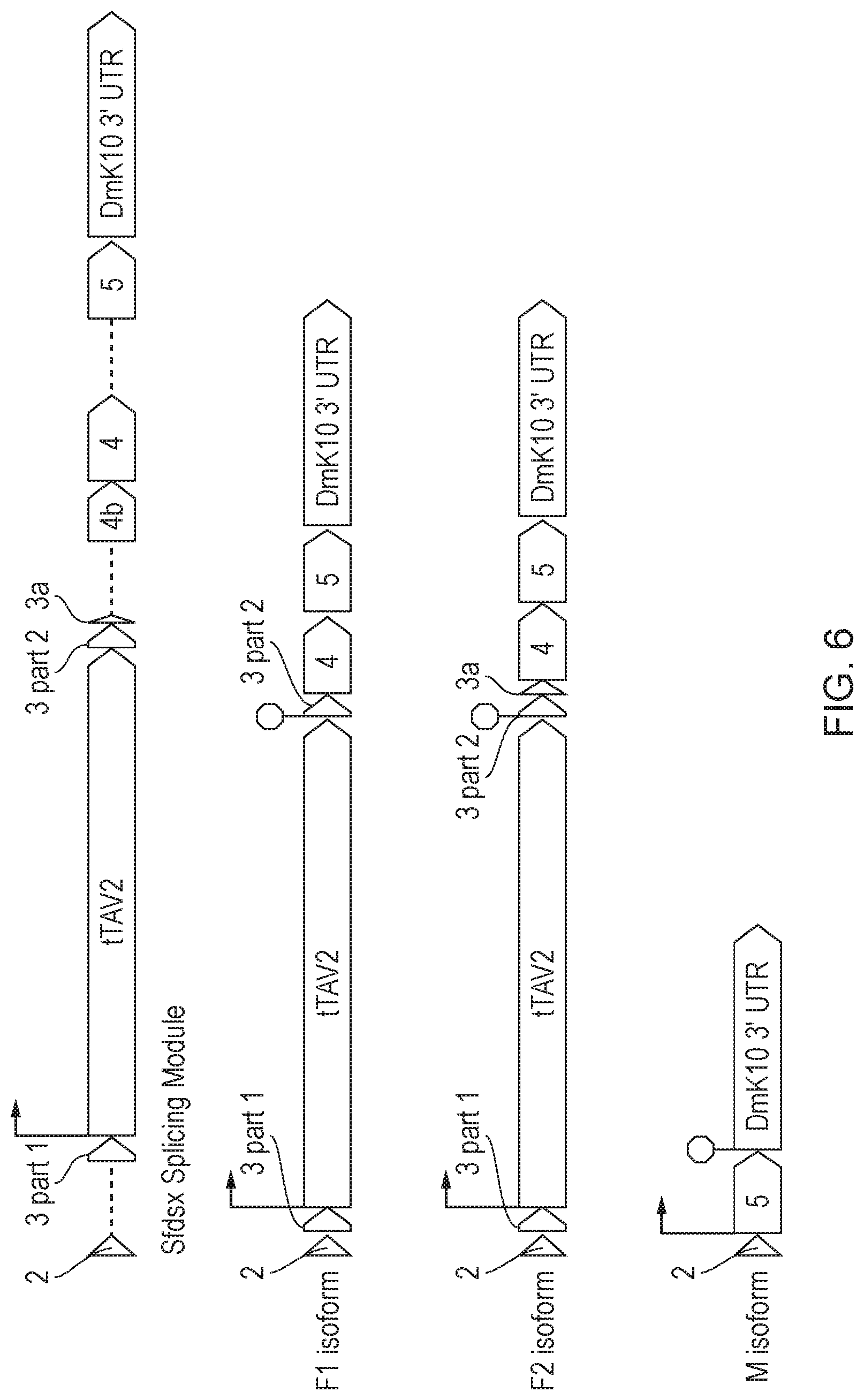 Patent US12492404 Figure 6 – Self-limiting noctuids