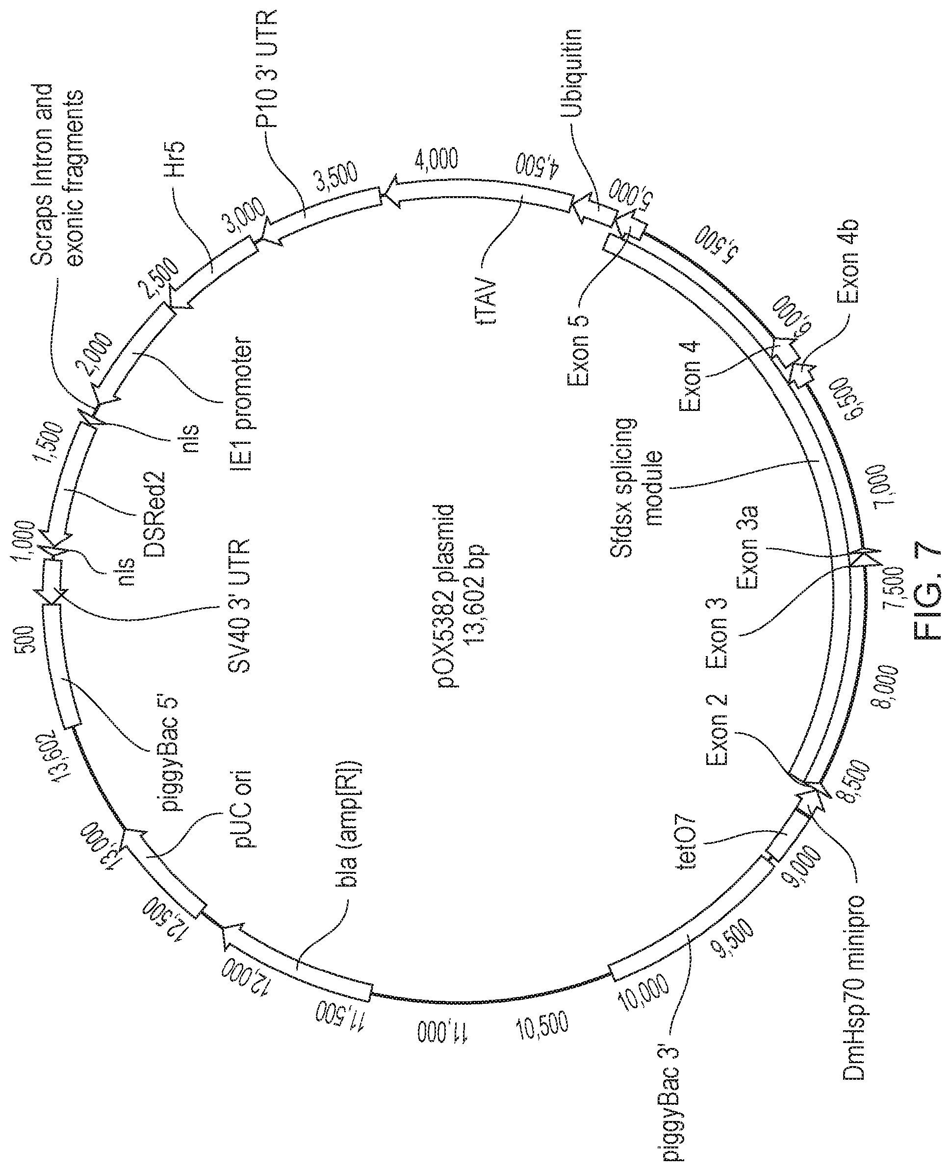 Patent US12492404 Figure 7 – Self-limiting noctuids