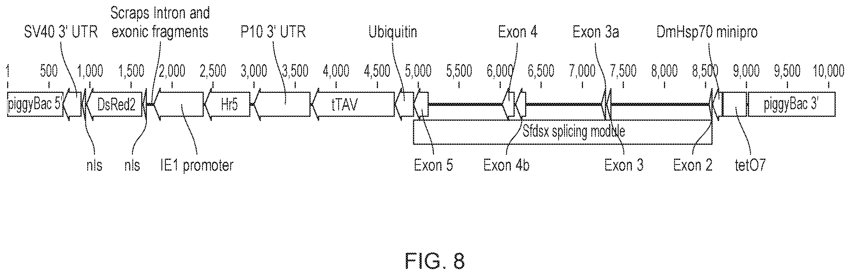 Patent US12492404 Figure 8 – Self-limiting noctuids