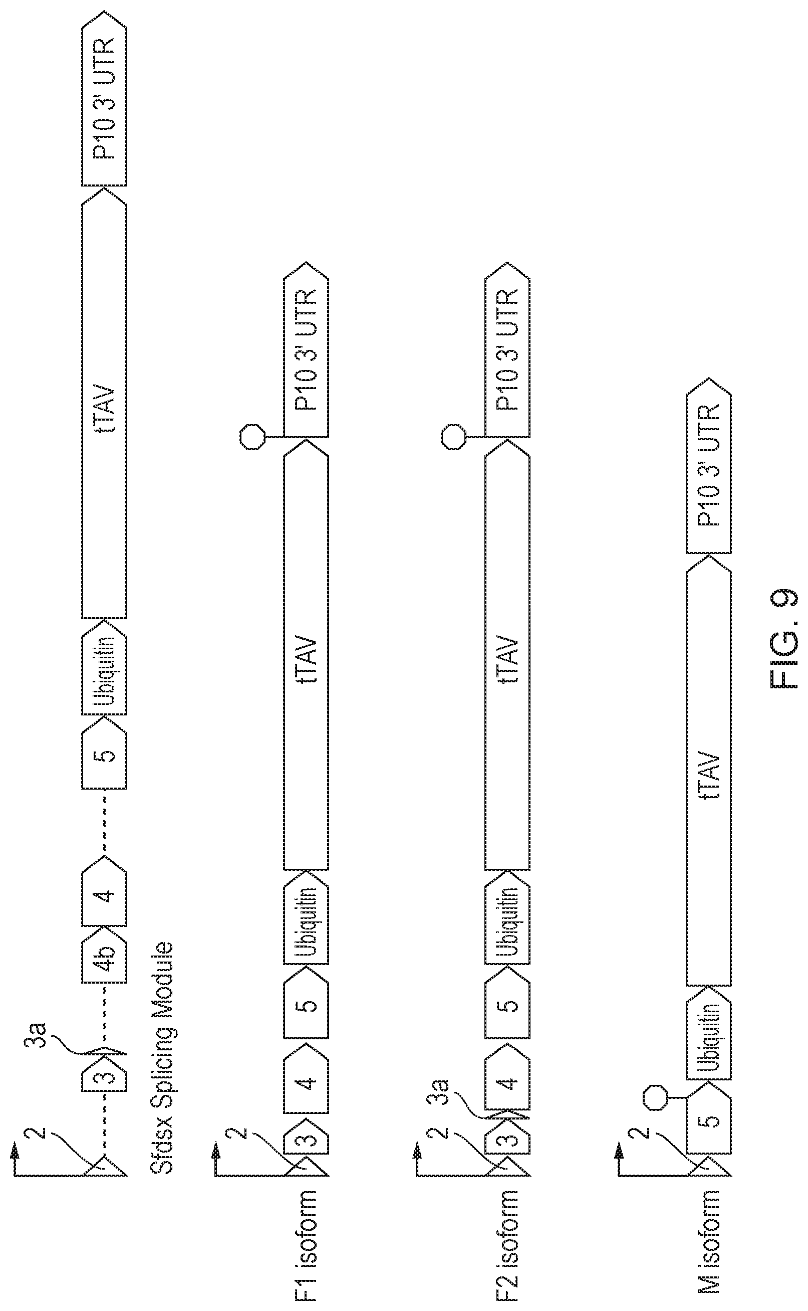 Patent US12492404 Figure 9 – Self-limiting noctuids