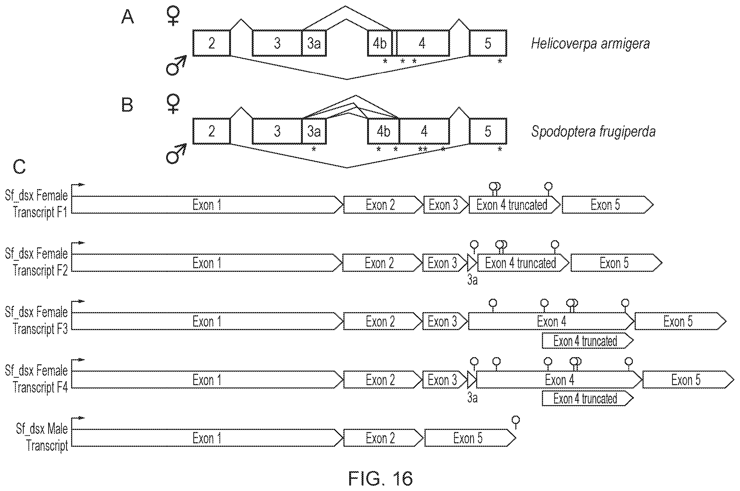Patent US12492404 Figure 16 – Self-limiting noctuids