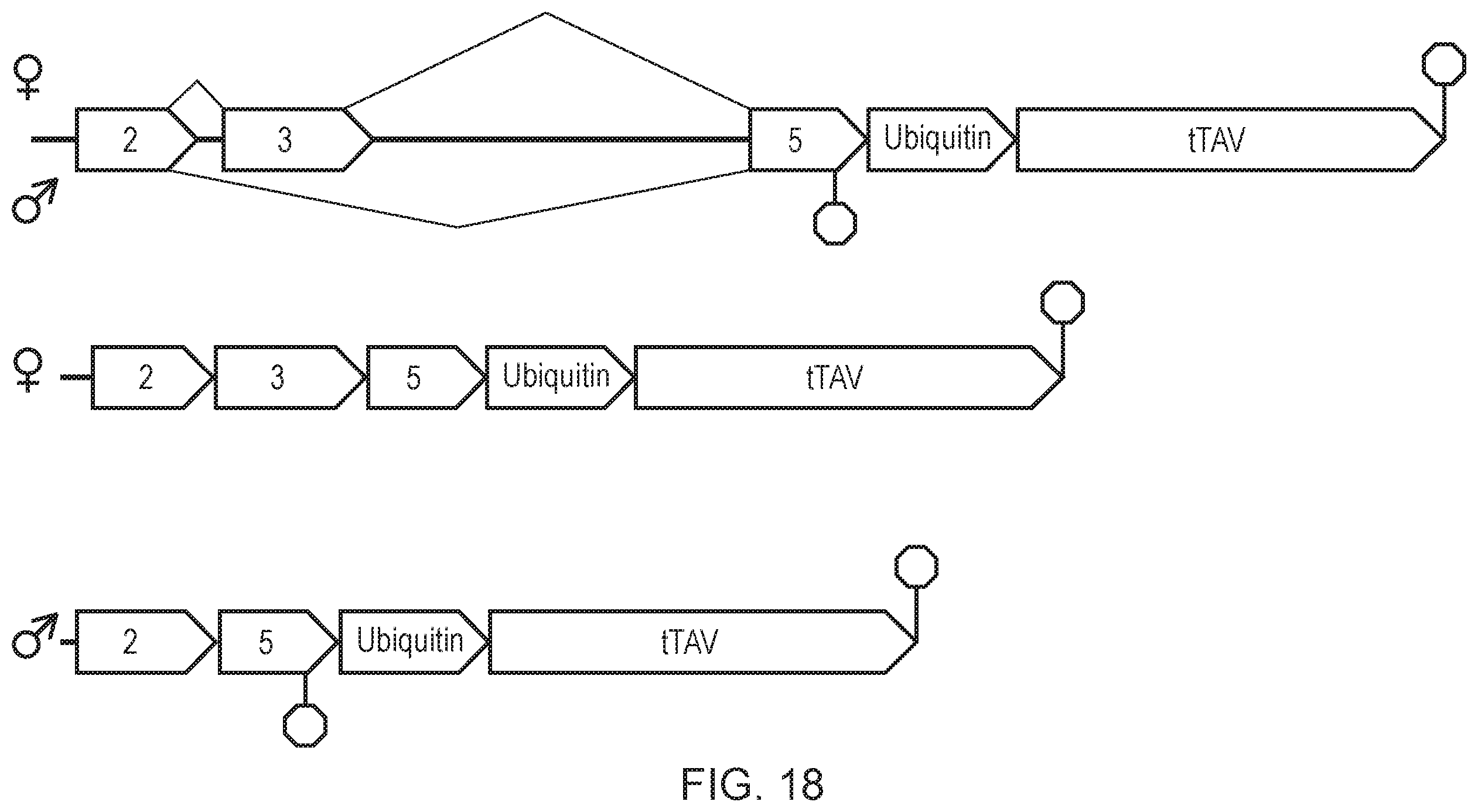 Patent US12492404 Figure 18 – Self-limiting noctuids