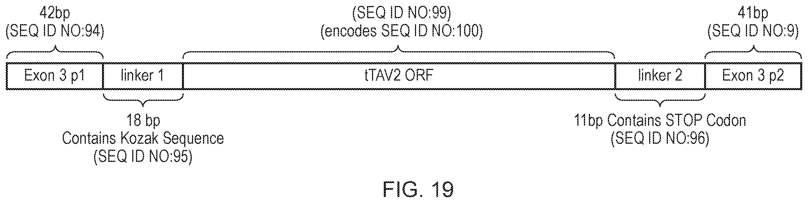Patent US12492404 Figure 19 – Self-limiting noctuids