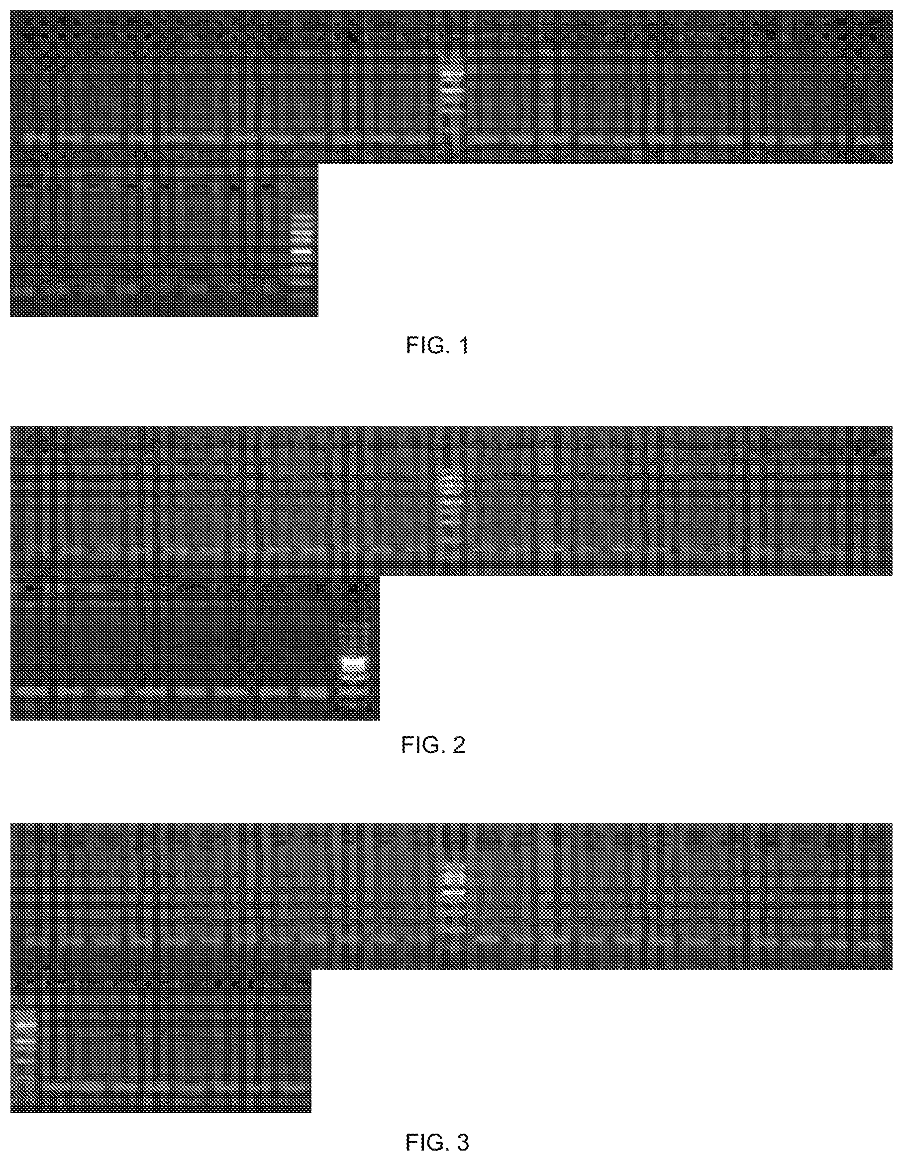 Patent US12492405 Figure 1 – Promoter and carrier composed of same and application thereof
