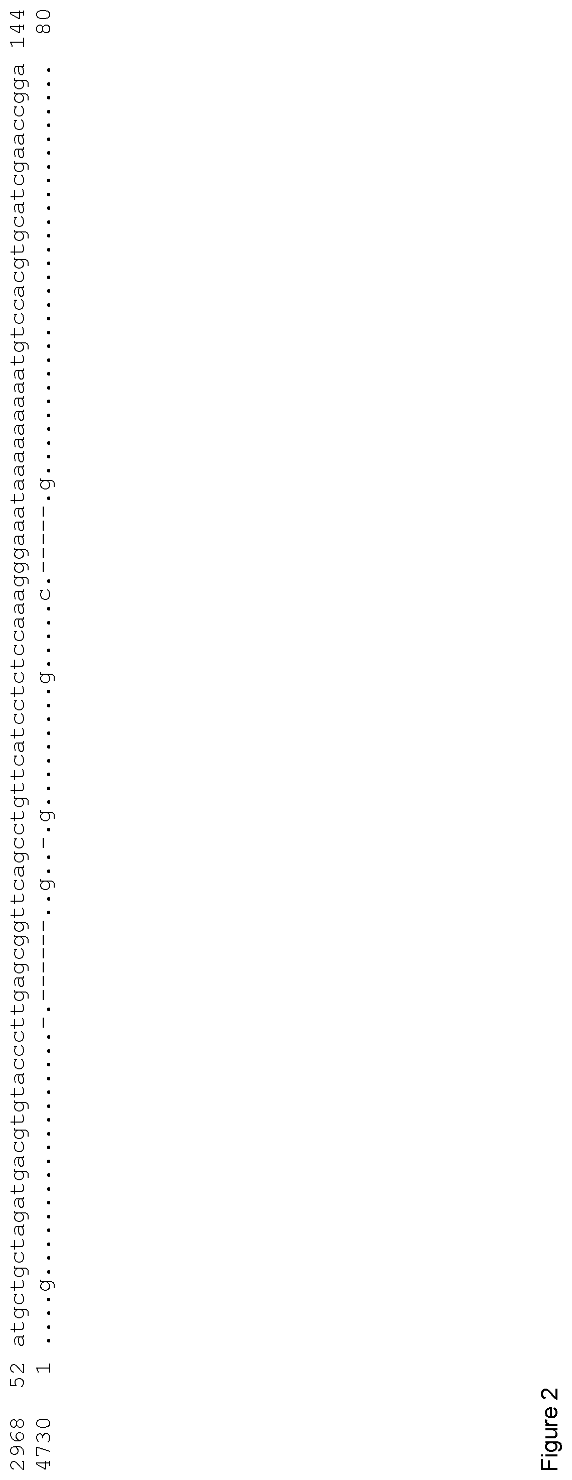 Patent US12492406 Figure 2 – Regulatory nucleic acid molecules for enhancing gene expression in plants