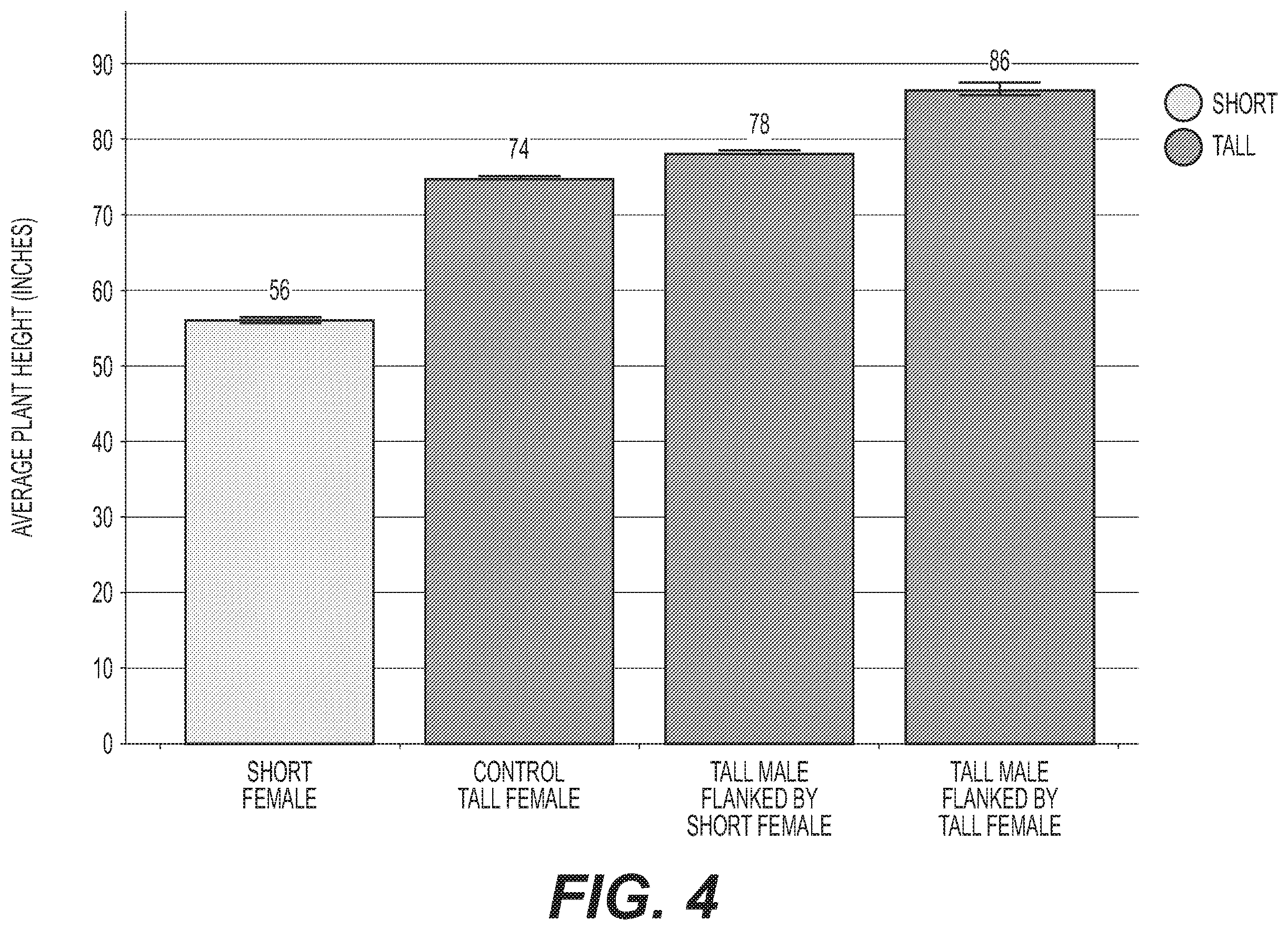 Patent US12492408 Figure 4 – Methods for hybrid corn seed production