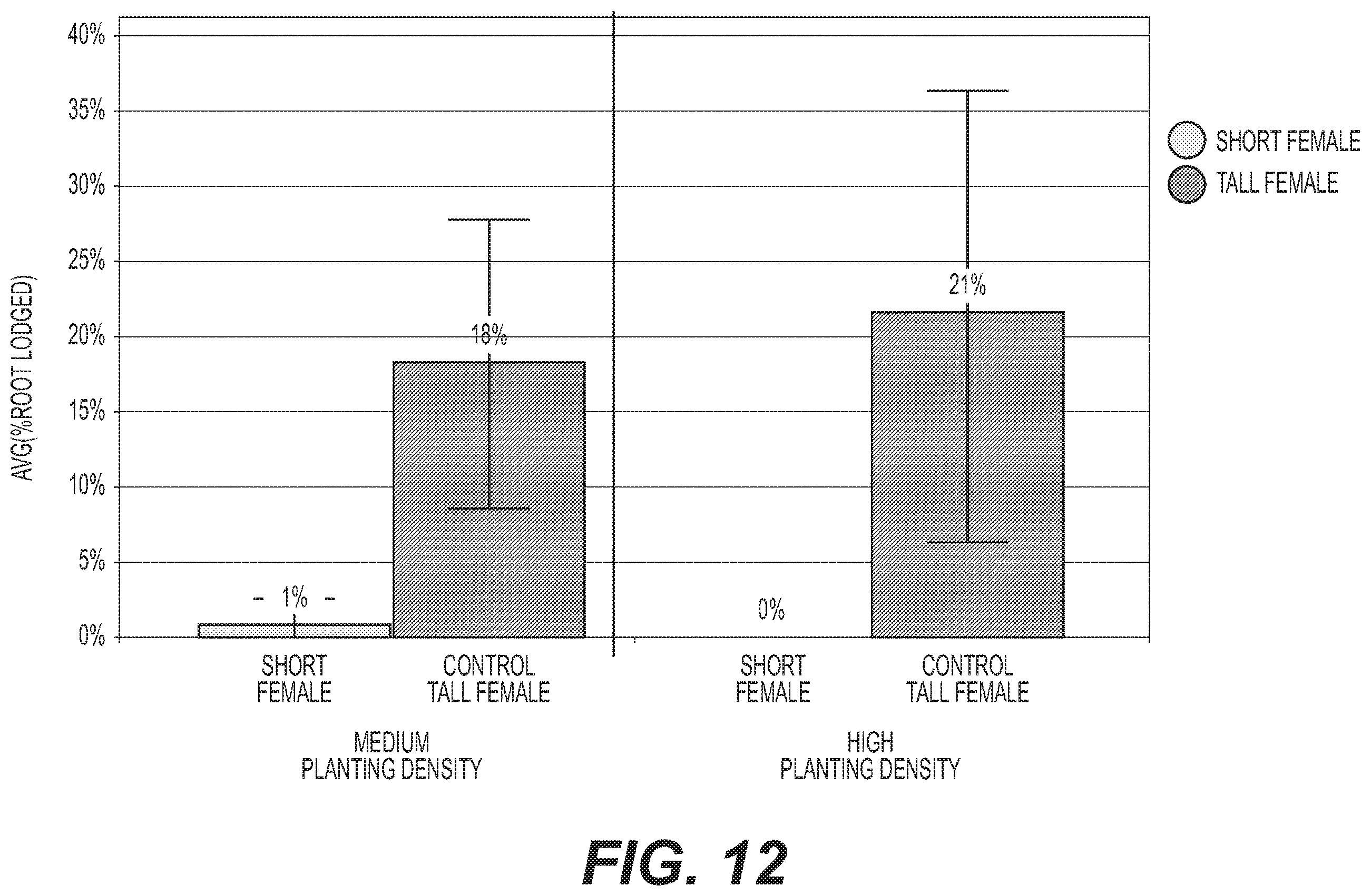 Patent US12492408 Figure 12 – Methods for hybrid corn seed production