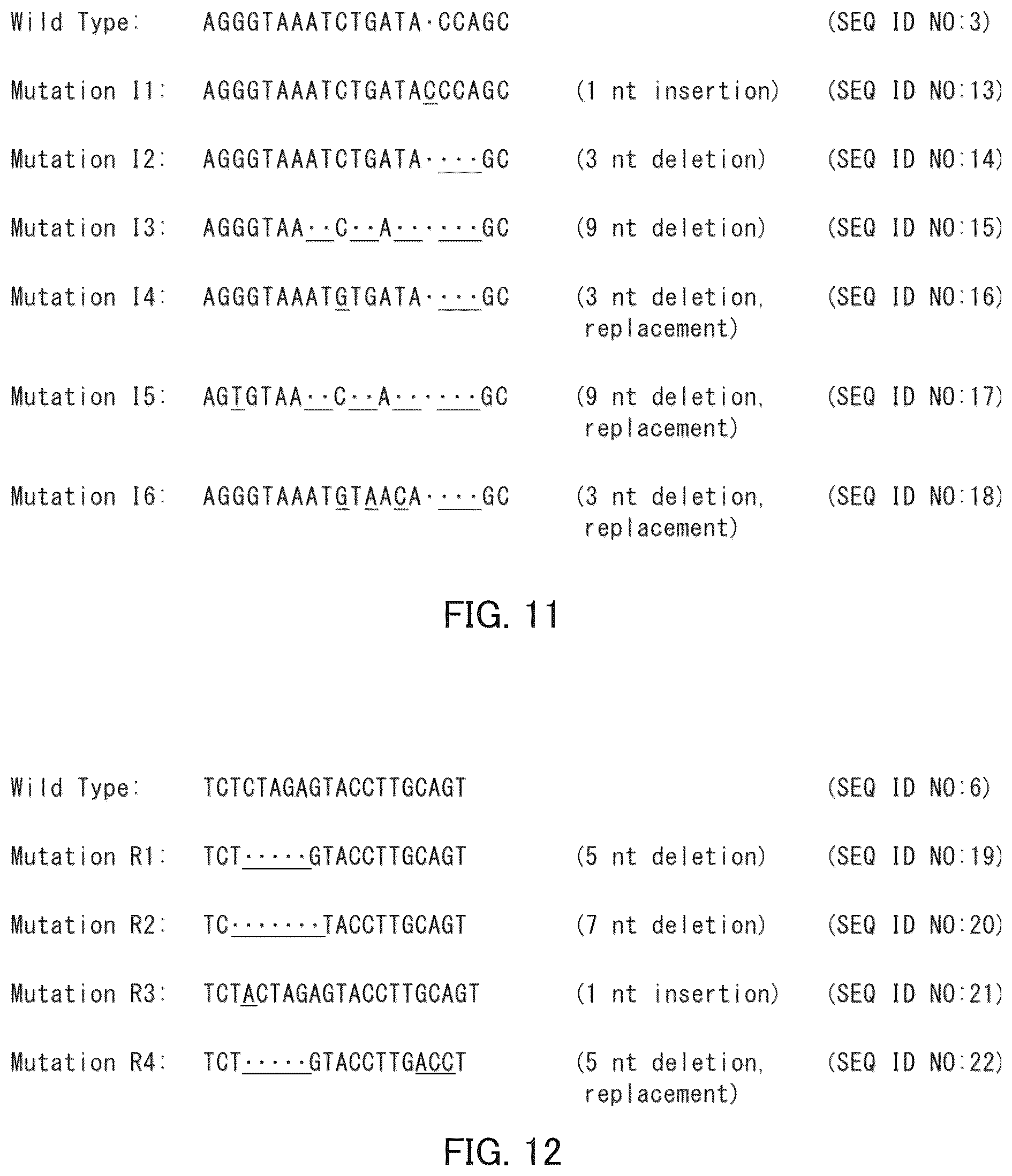Patent US12492409 Figure 7 – Solanaceous plant resistant to virus of genus Begomovirus causing tomato yellow leaf curl symptoms, solanaceous plant cell, and method for producing solanaceous plant