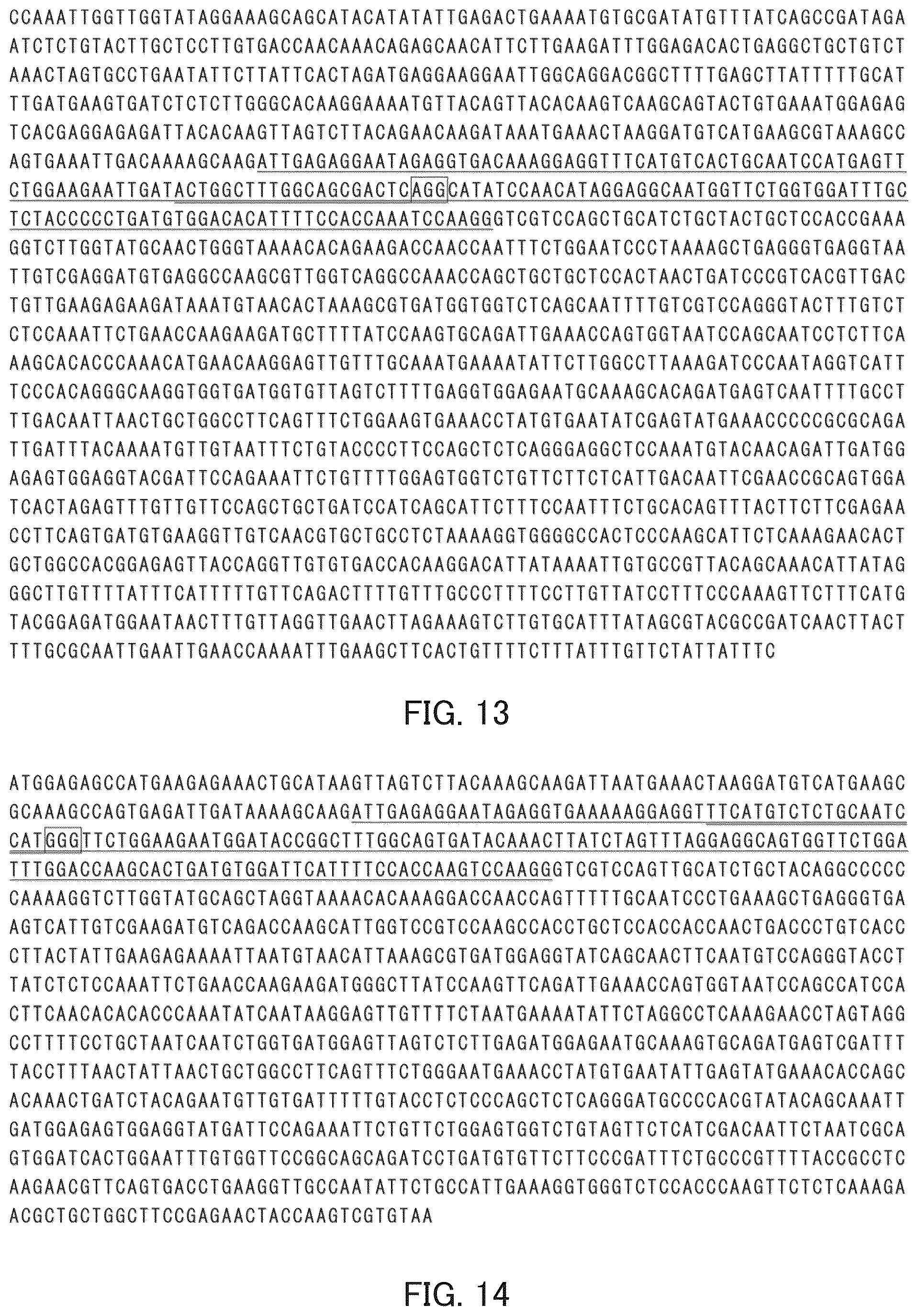 Patent US12492409 Figure 8 – Solanaceous plant resistant to virus of genus Begomovirus causing tomato yellow leaf curl symptoms, solanaceous plant cell, and method for producing solanaceous plant