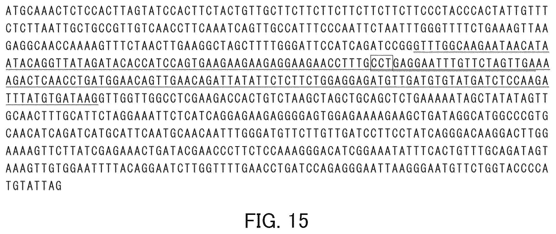 Patent US12492409 Figure 9 – Solanaceous plant resistant to virus of genus Begomovirus causing tomato yellow leaf curl symptoms, solanaceous plant cell, and method for producing solanaceous plant
