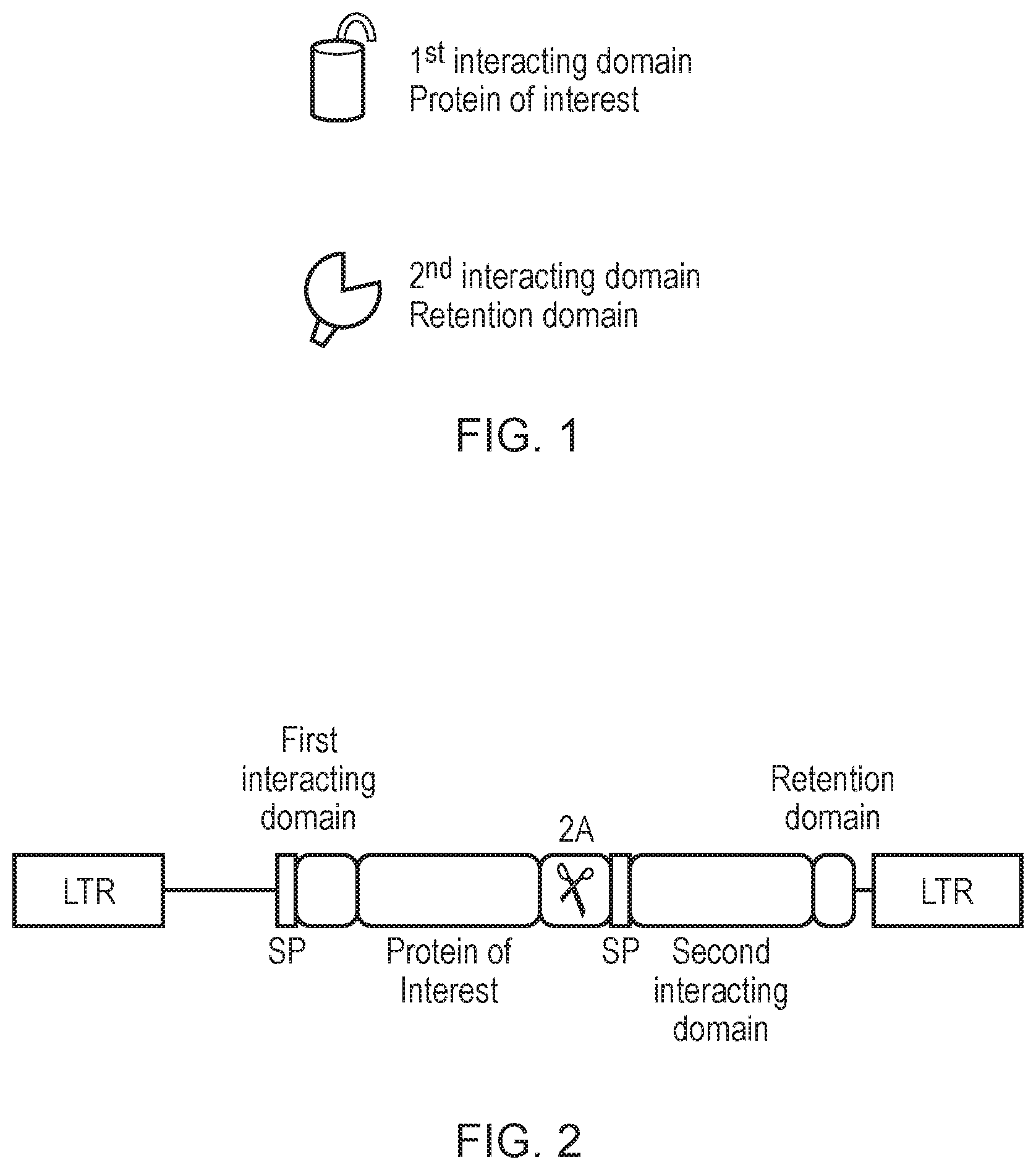 Patent US12492410 — Engineered cytolytic immunecell — Figure 1
