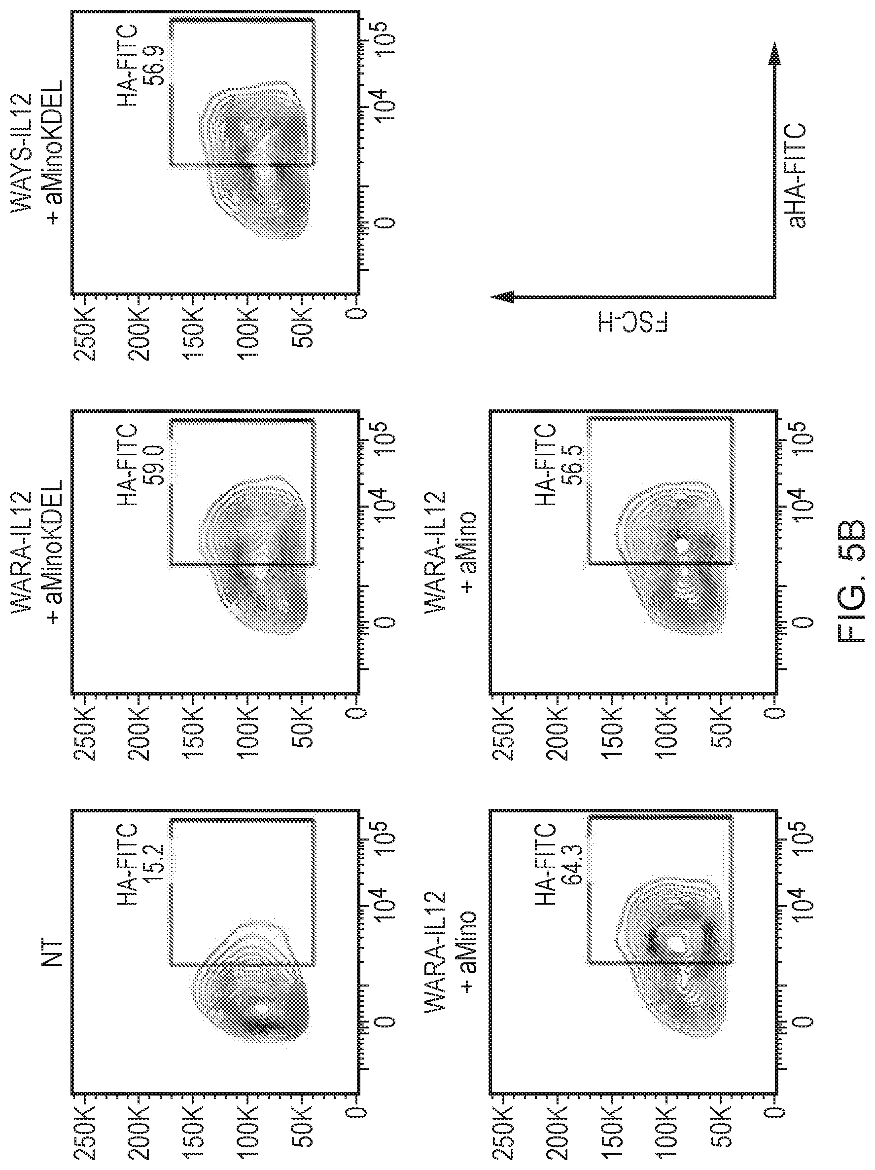 Patent US12492410 Figure 4 – Engineered cytolytic immunecell