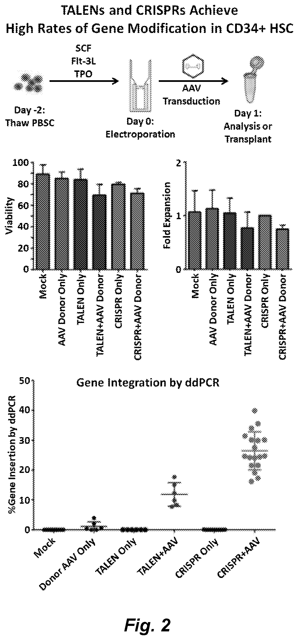 Patent US12492411 Figure 2 – Gene editing of monogenic disorders in human hematopoietic stem cells—correction of X-linked agammaglobulinemia (XLA)